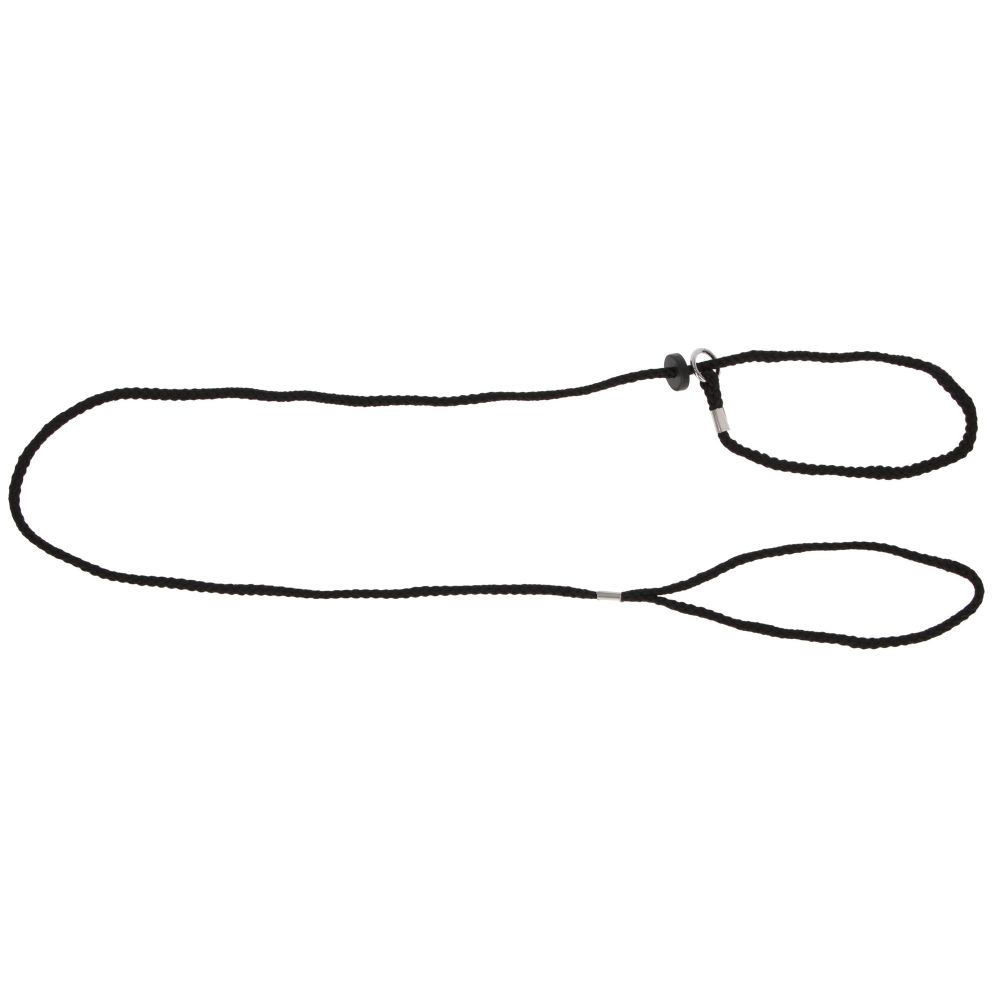 Hundeleine | Vorführleine | Schwarz | Nylon | mit Halsung | 0,6 x 125cm