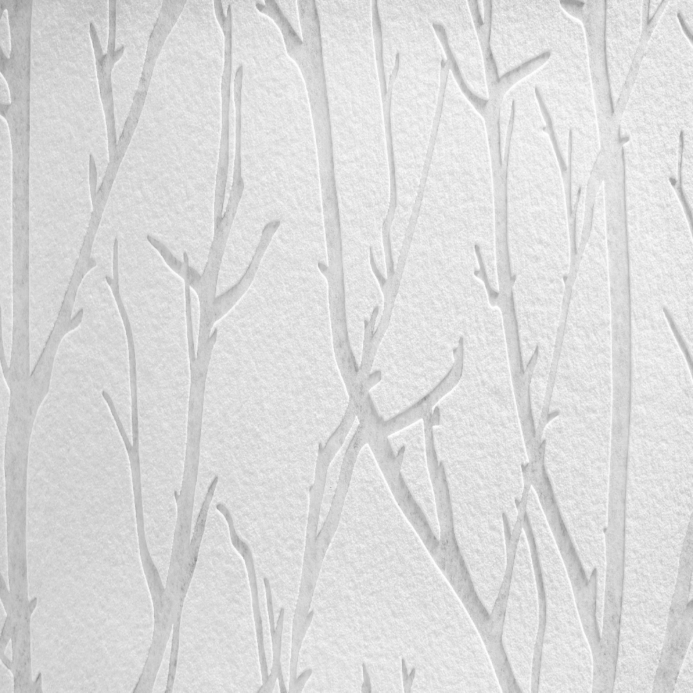 A.S. Creation | Meistervlies | 321114 | Vliestapete | Naturoptik | 1.06 x 25 m | Weiß