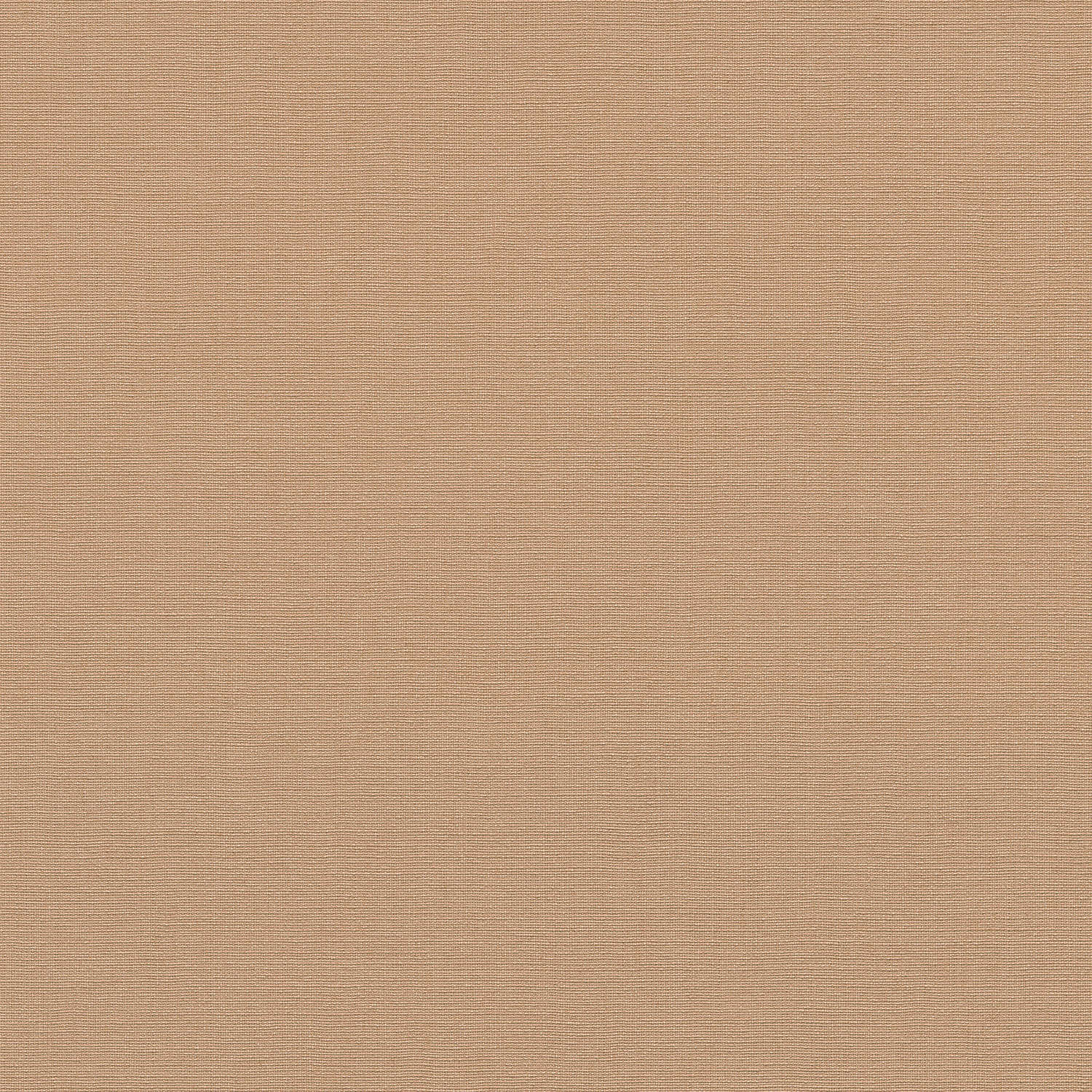 Vliestapete 1026206 Rot Uni Einfarbig La Terrasse Erismann