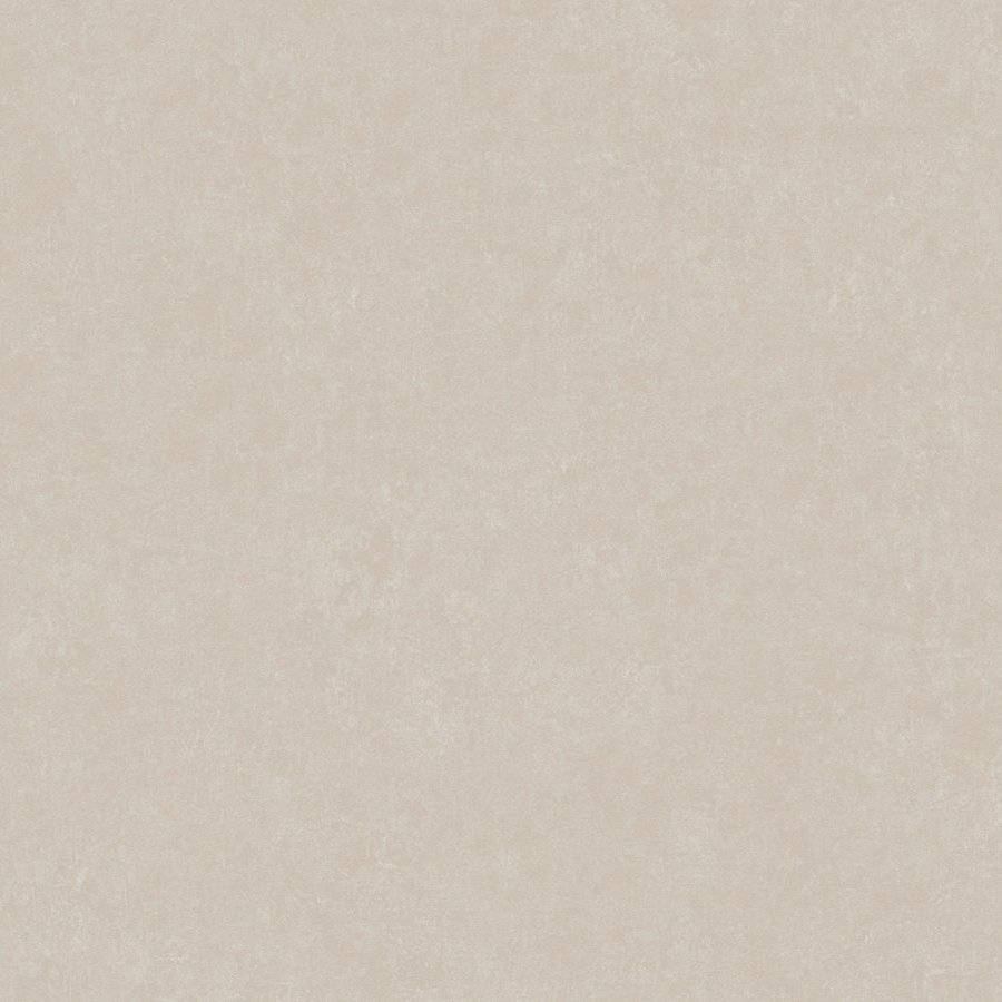 A.S. Creation | Styleguide Design 2024 | 385948 | Vliestapete | Einfarbig | 10.05 x 0.53 m | Grau