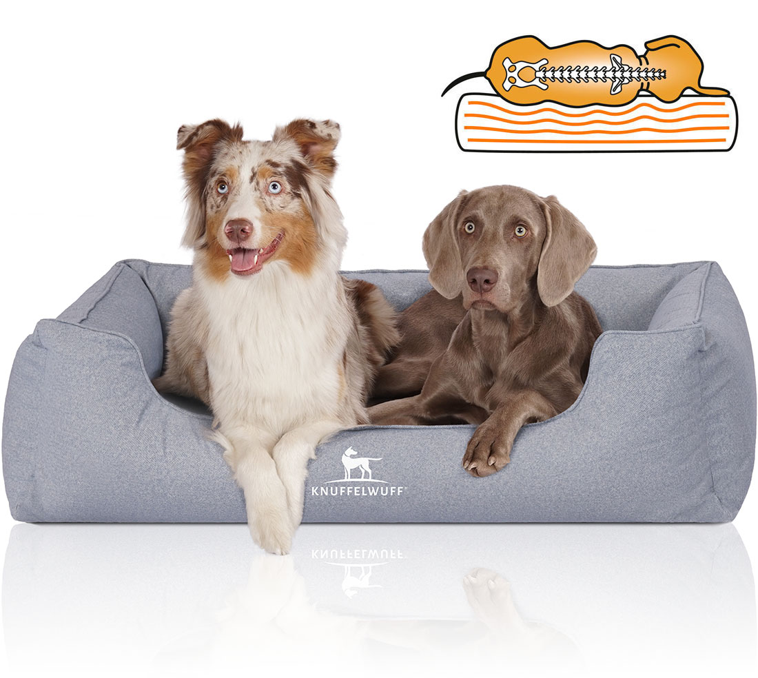 Knuffelwuff | Orthopädisches Hundebett Malou | Ergonomisch |  Hundematte | Matratze | Memory Foam