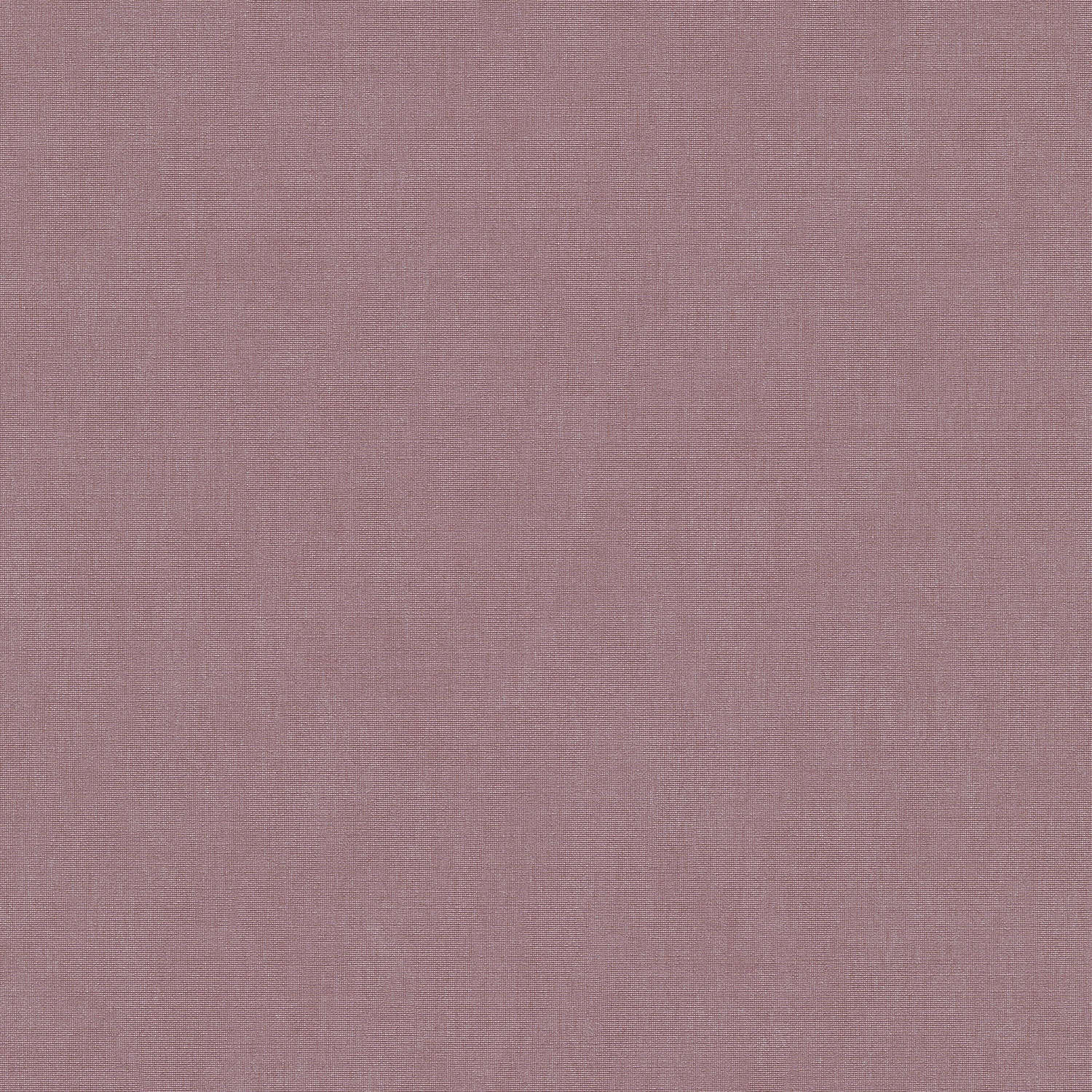 Vliestapete 1053909 Lila Uni Einfarbig Aurora Erismann