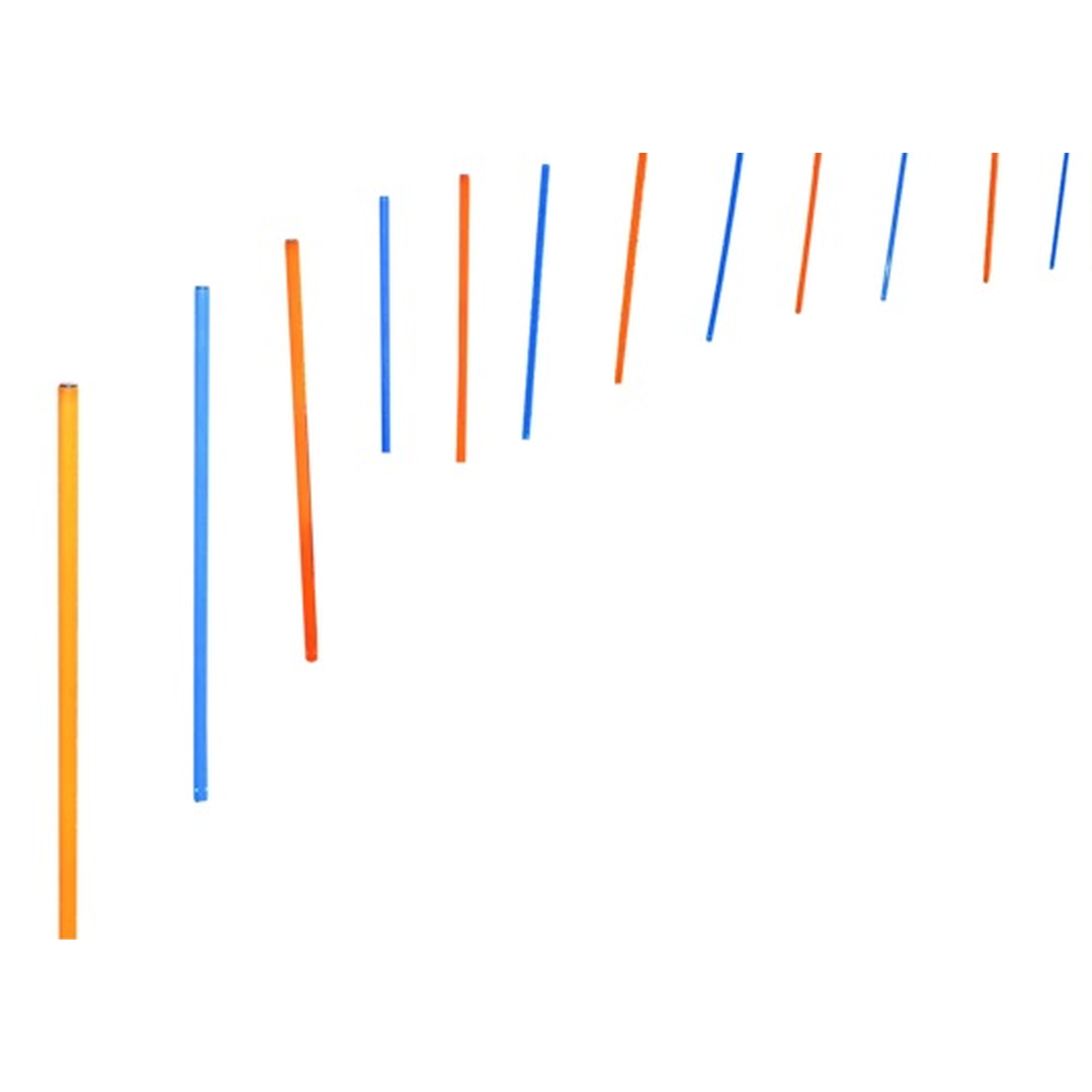 Hundetraining | Agility | Slalom | 12 Stangen | Erziehung | Blau | Orange | Kunststoff | Stab