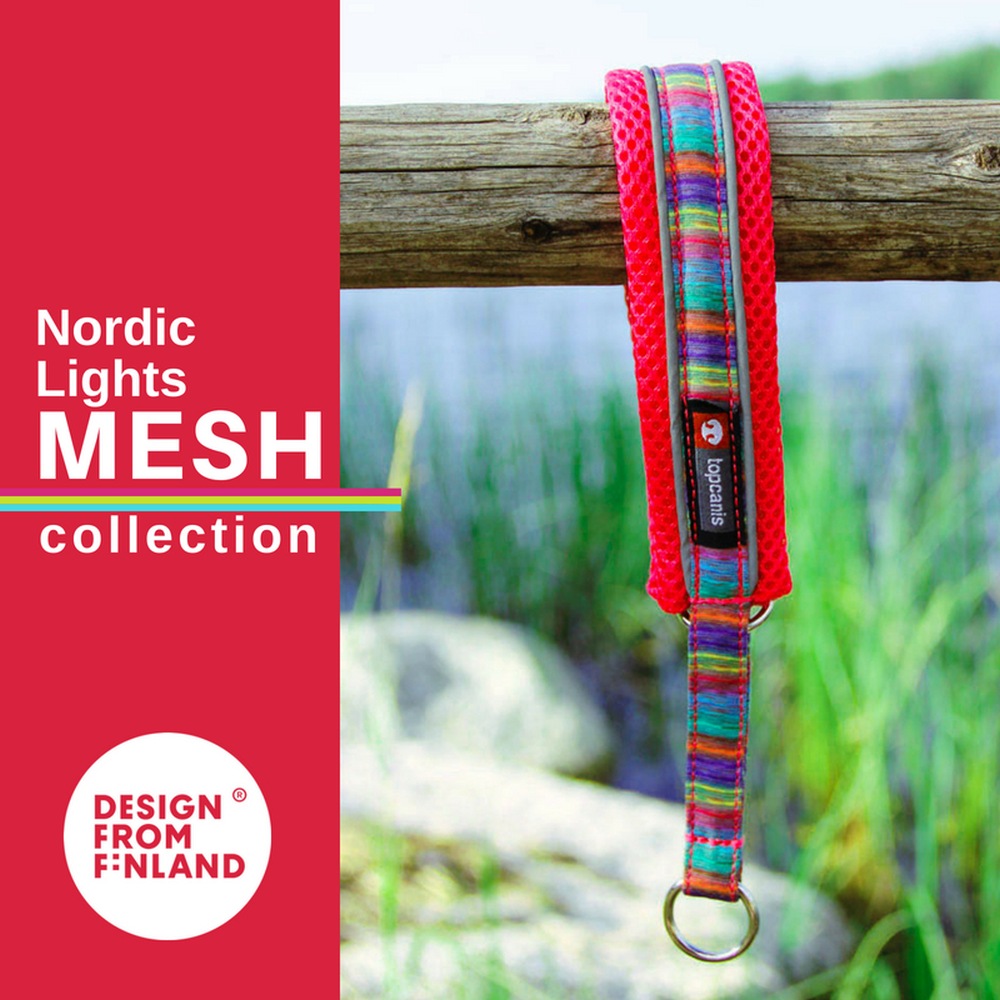 Hundehalsband 40-50 cm Halsband bunt