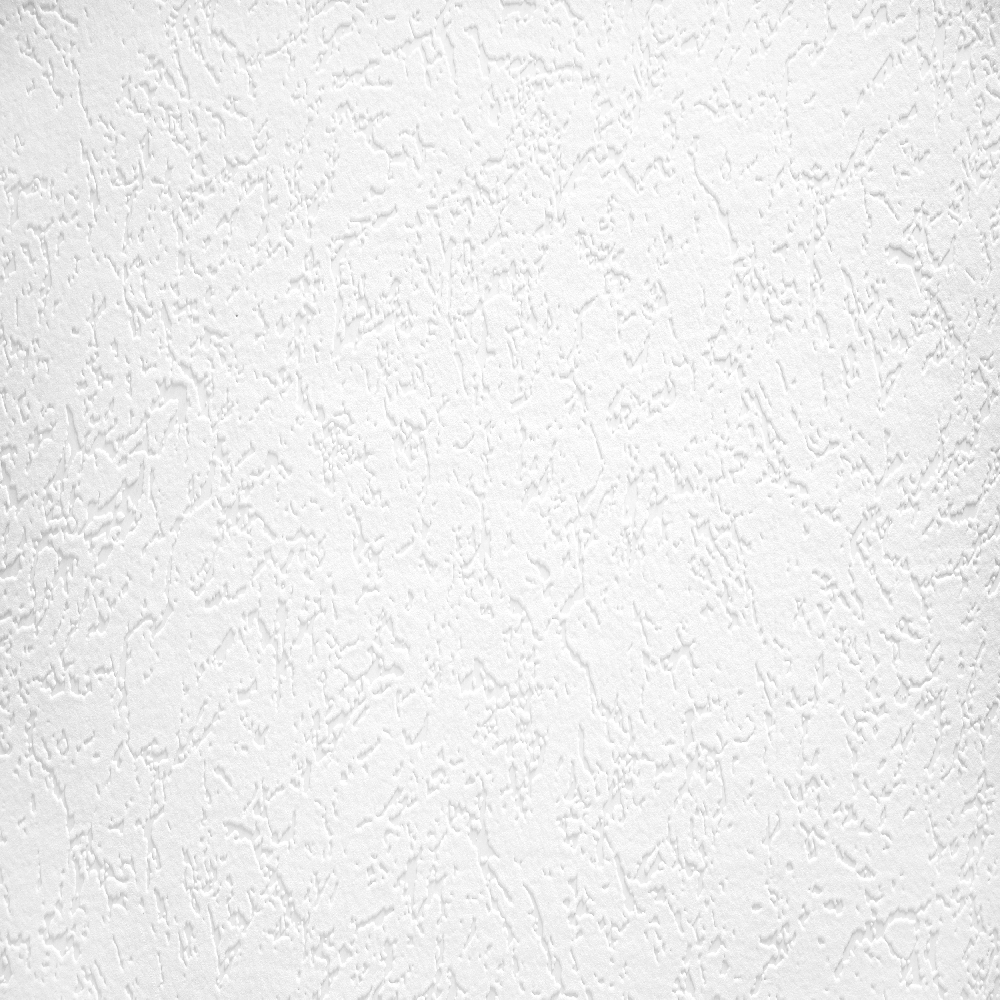 A.S. Creation | Meistervlies | 929518 | Vliestapete Überstreichbar | Putz | 0.53 x 10.05 m | Weiß
