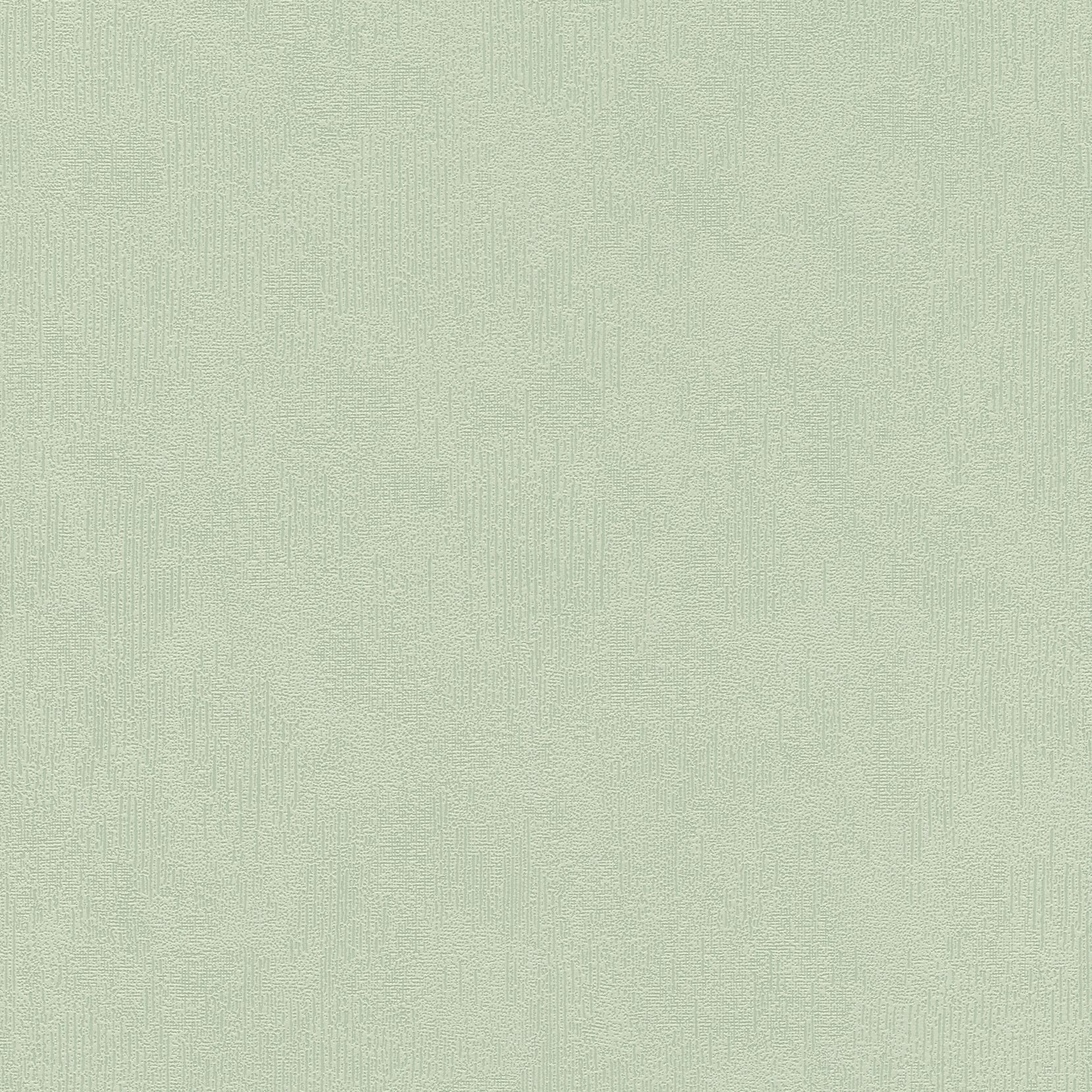Papel pintado no tejido 415377 Verde Liso Sólido Estilo Decorativo Rasch
