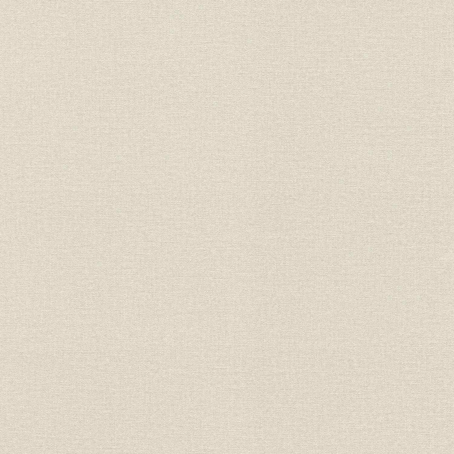 Rasch | Lirico | 555844 | Vliestapete | Einfarbig | Uni | 0.53 x 10.05 m | Grau
