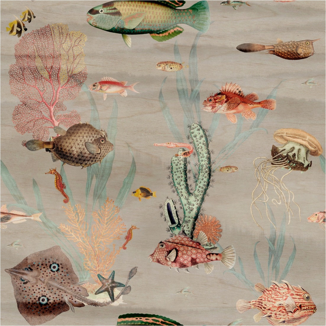 Tadessi Fototapete Fische M1-No.11752 Digitaldruck Tapete Bunt Grau - Unterwasserwelt Wohnzimmer
