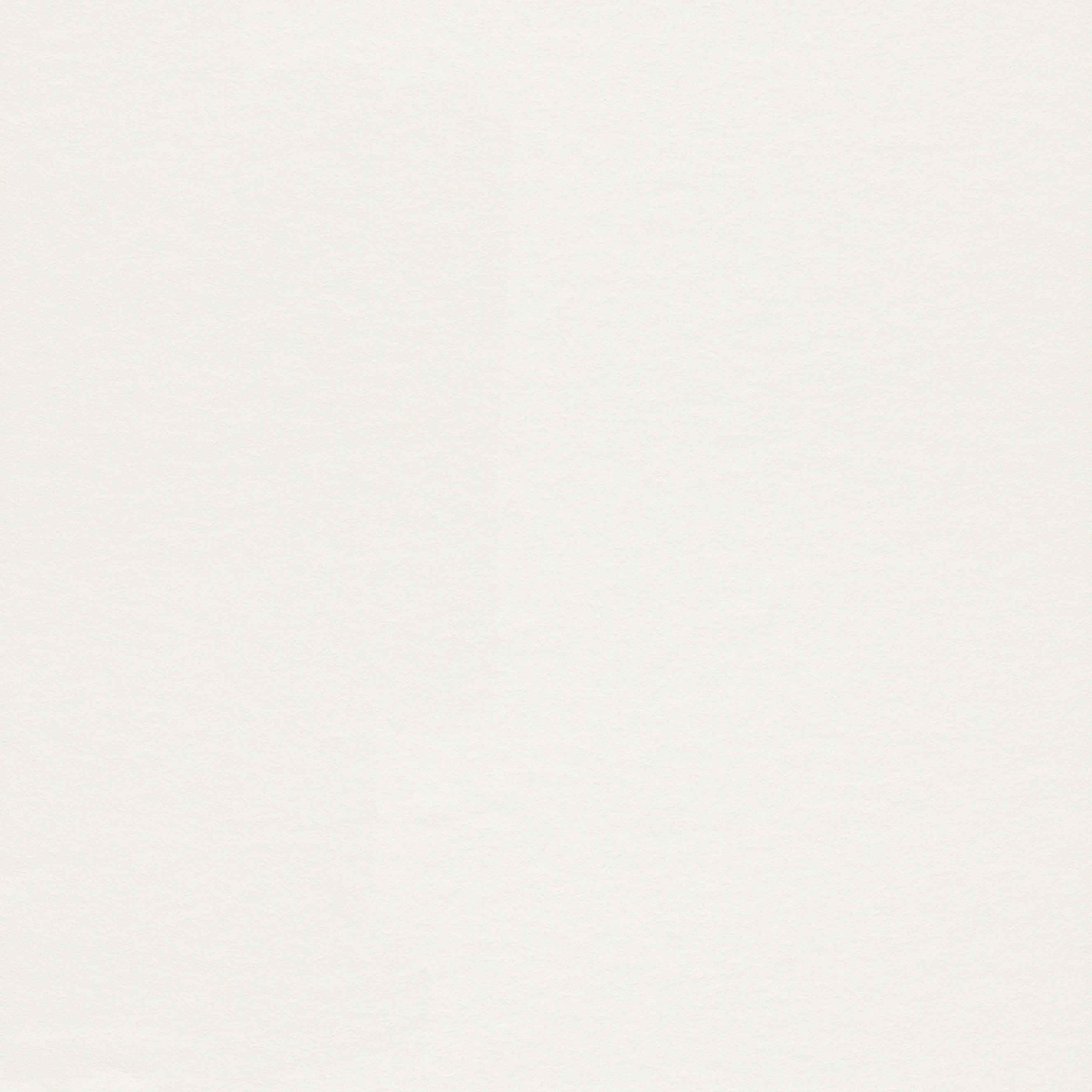 Rasch Factory IV | 140217 | papier peint intissé uni | 53cm x 1005cm | blanc