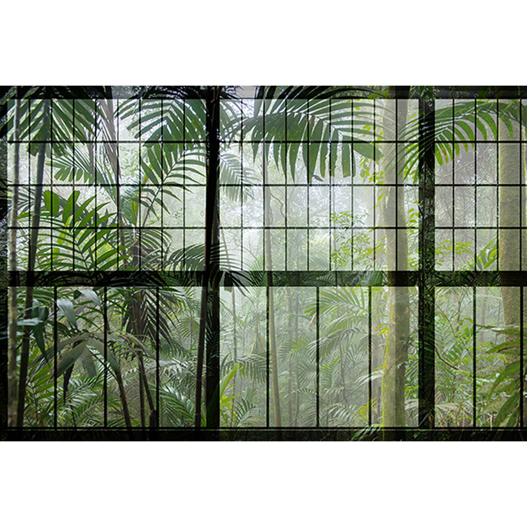 Tadessi Fototapete Fenster M1-No.60913 Digitaldruck Tapete Grün Schwarz - Dschungel