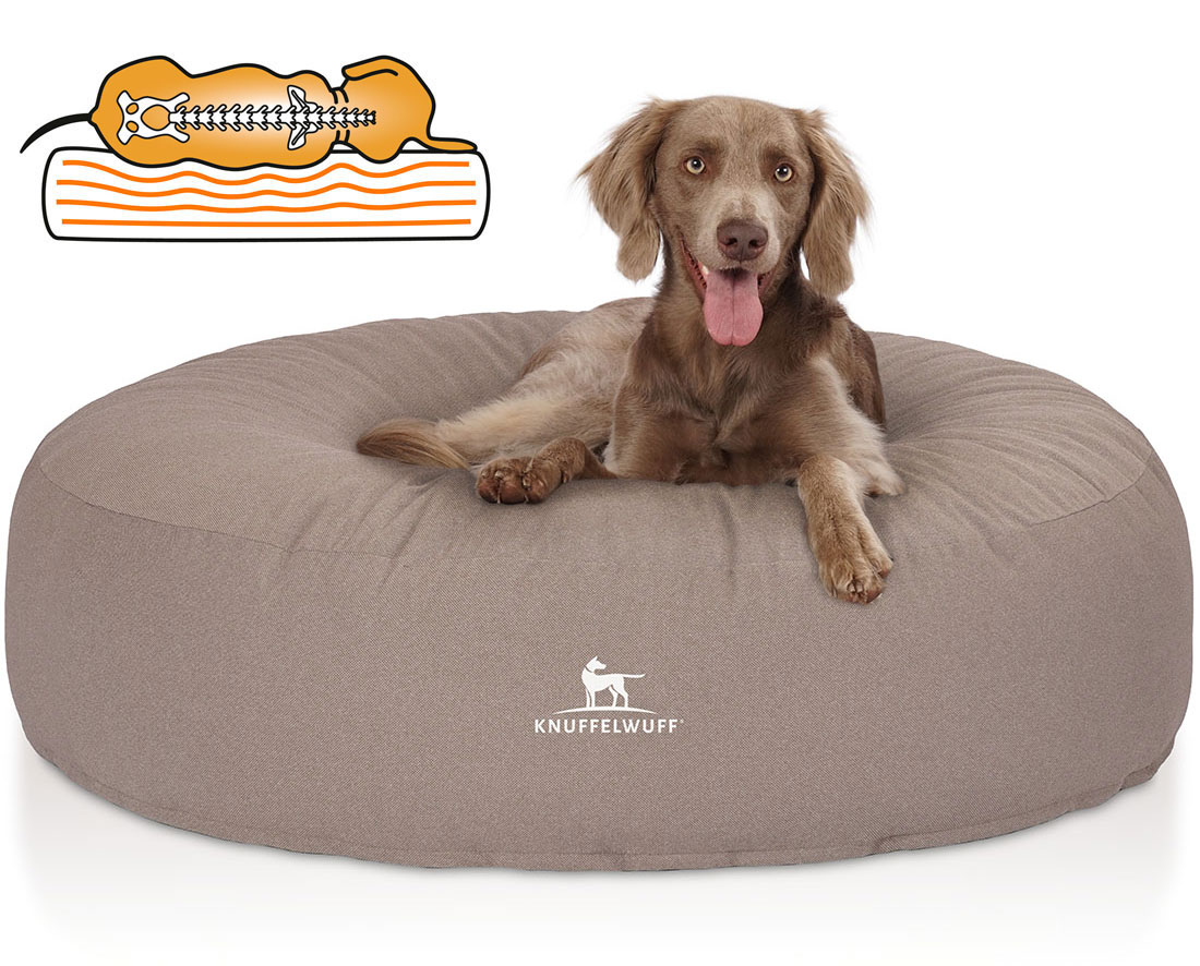Knuffelwuff | Orthopädisches Hundebett Little Rock | Ergonomisch |  Matte | Matratze | Memory Foam