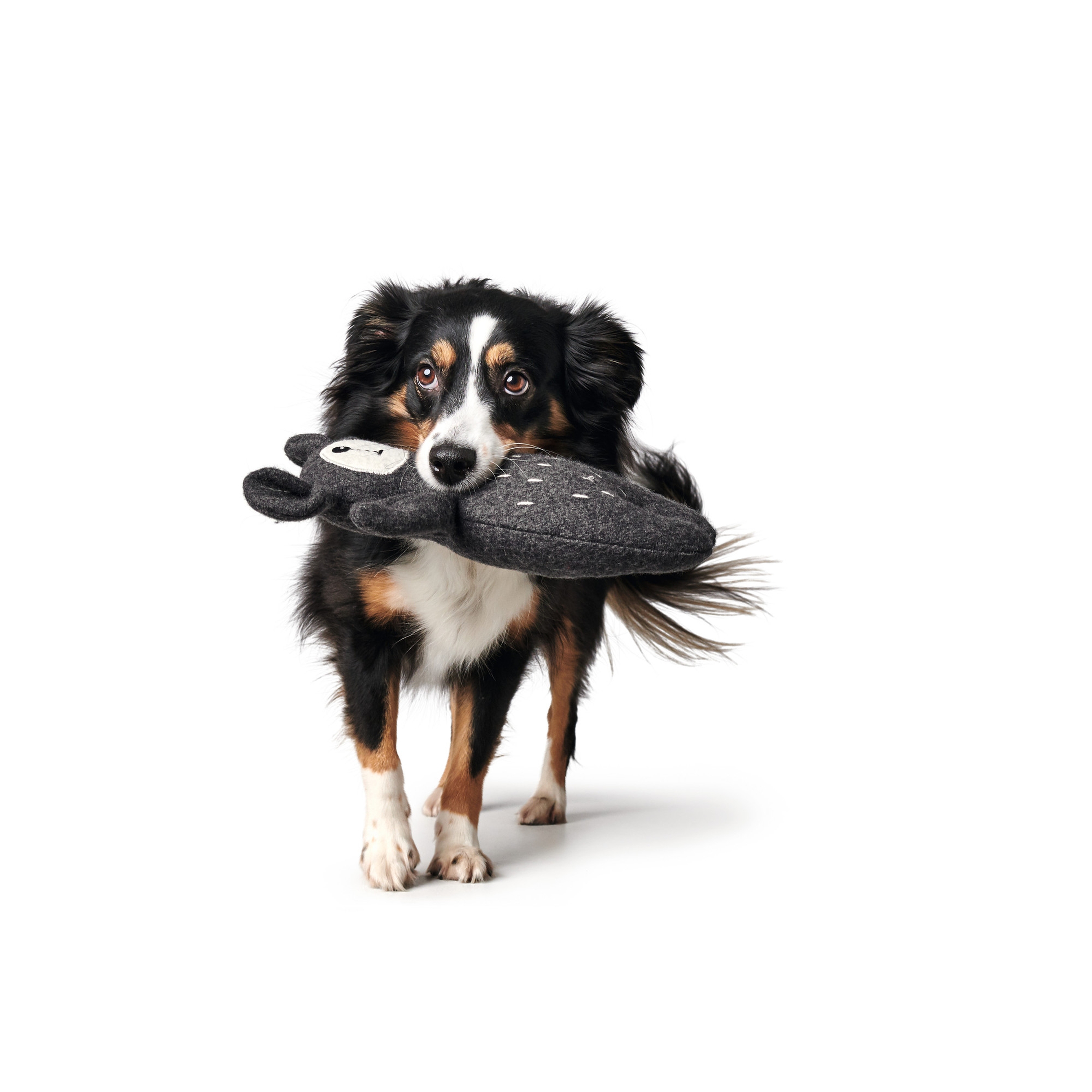 Hunter | Tirana | Hundespielzeug | Wolle | Polyester | Grau | Spaß | Freude | Langlebig