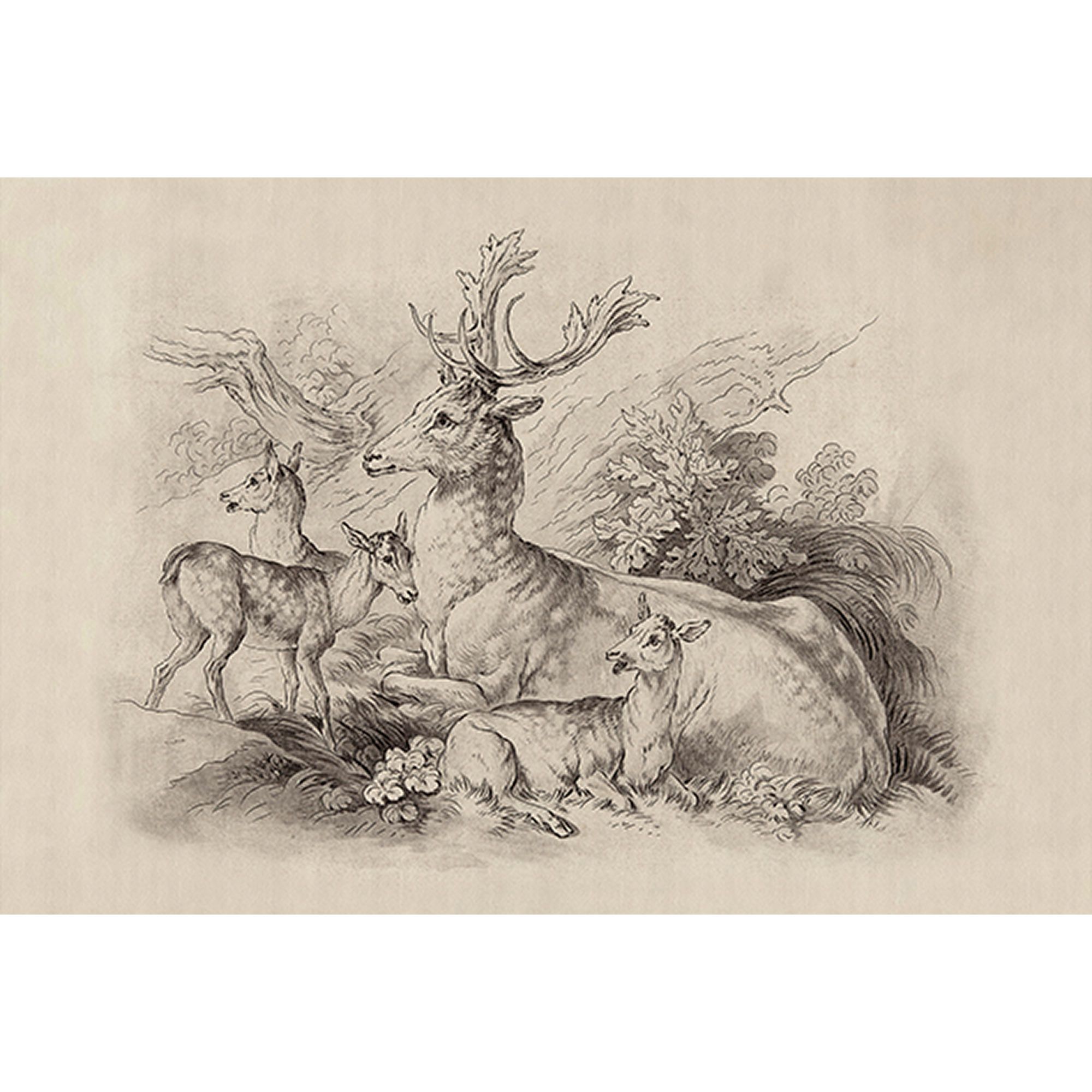 Tadessi Fototapete Hirsch M1-No.61275 Digitaldruck Tapete Beige Grau - Tiere Wald