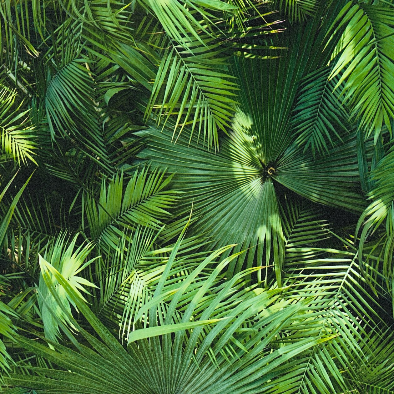 A.S. Creation Pop.up Panel 3D | 368441 | papier peint adhésif nature | 0.52 m x 2.5 m | beige