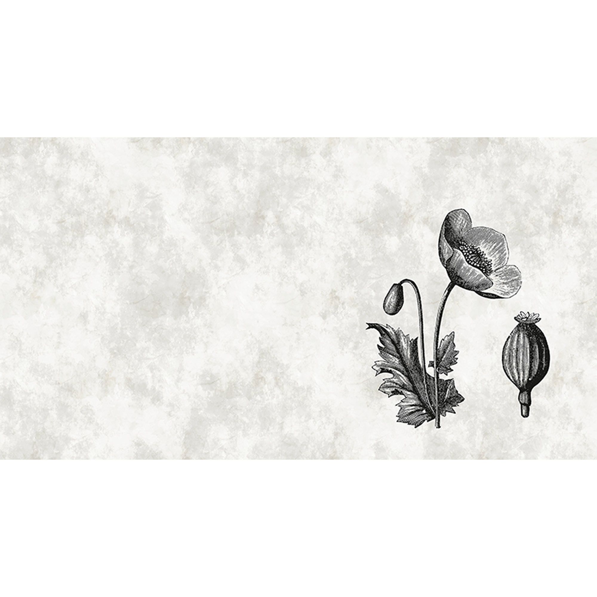 Tadessi Fototapete Blumen M1-No.60685 Digitaldruck Tapete Weiß Schwarz