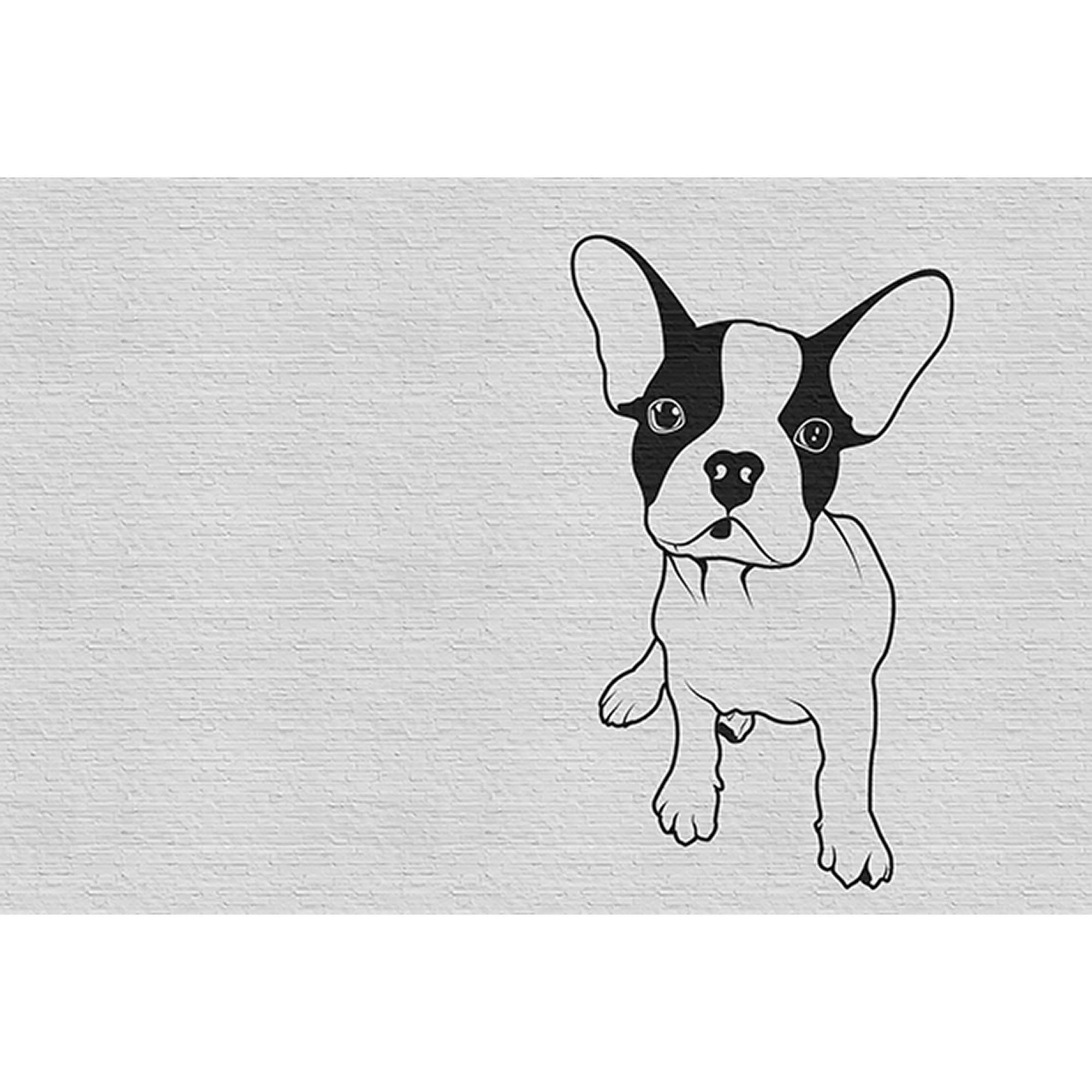 Tadessi Fototapete Steinoptik M1-No.60946 Digitaldruck Tapete Schwarz Weiß - Tiere Hund