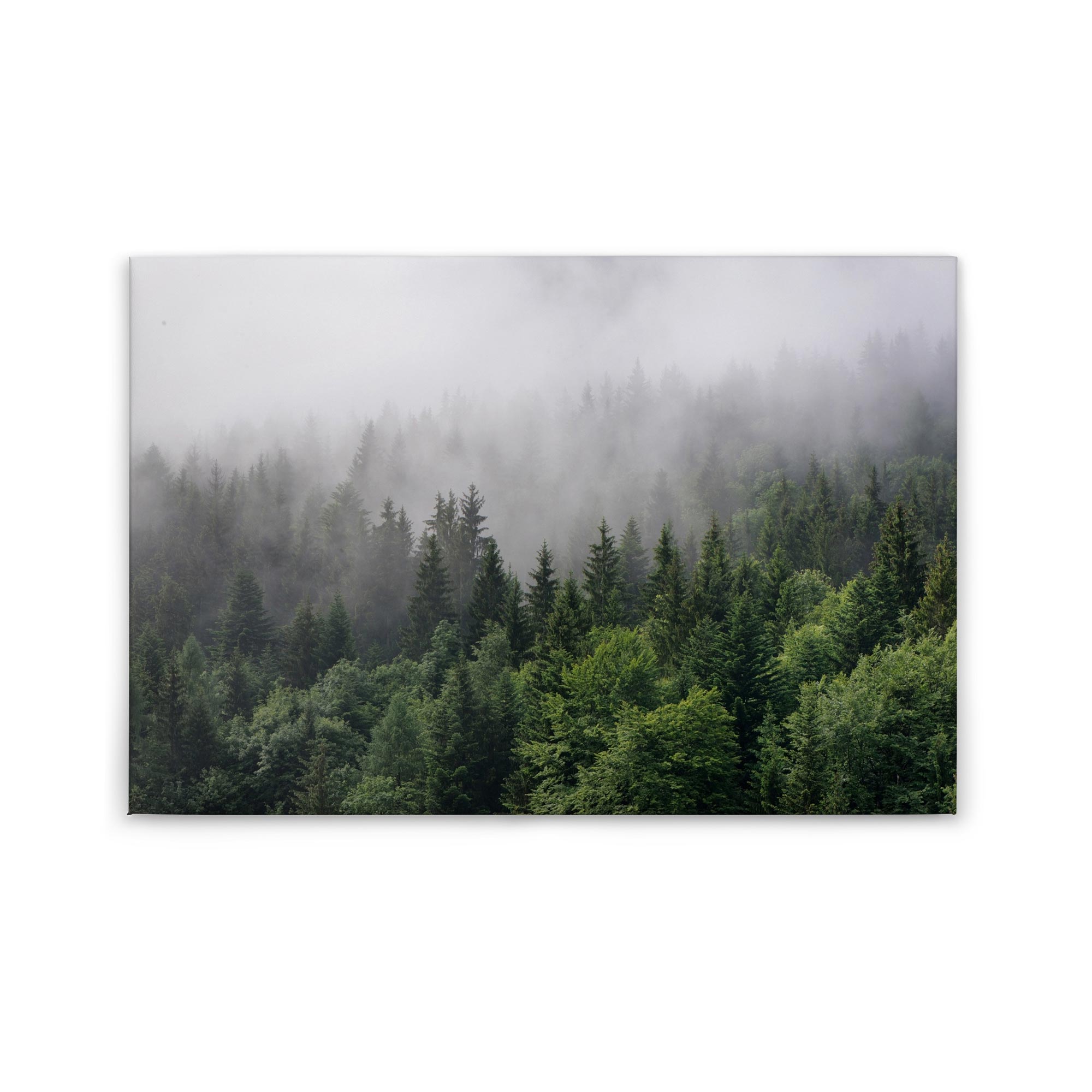 Tadessi Leinwandbild Wald Nebel - 60 x 90 cm - M1-No.50038 - Keilrahmen in Grün Weiß