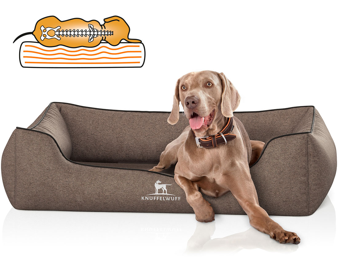 Knuffelwuff | Orthopädisches Hundebett Amelie | Ergonomisch | Hundematte | Matratze | Memory Foam