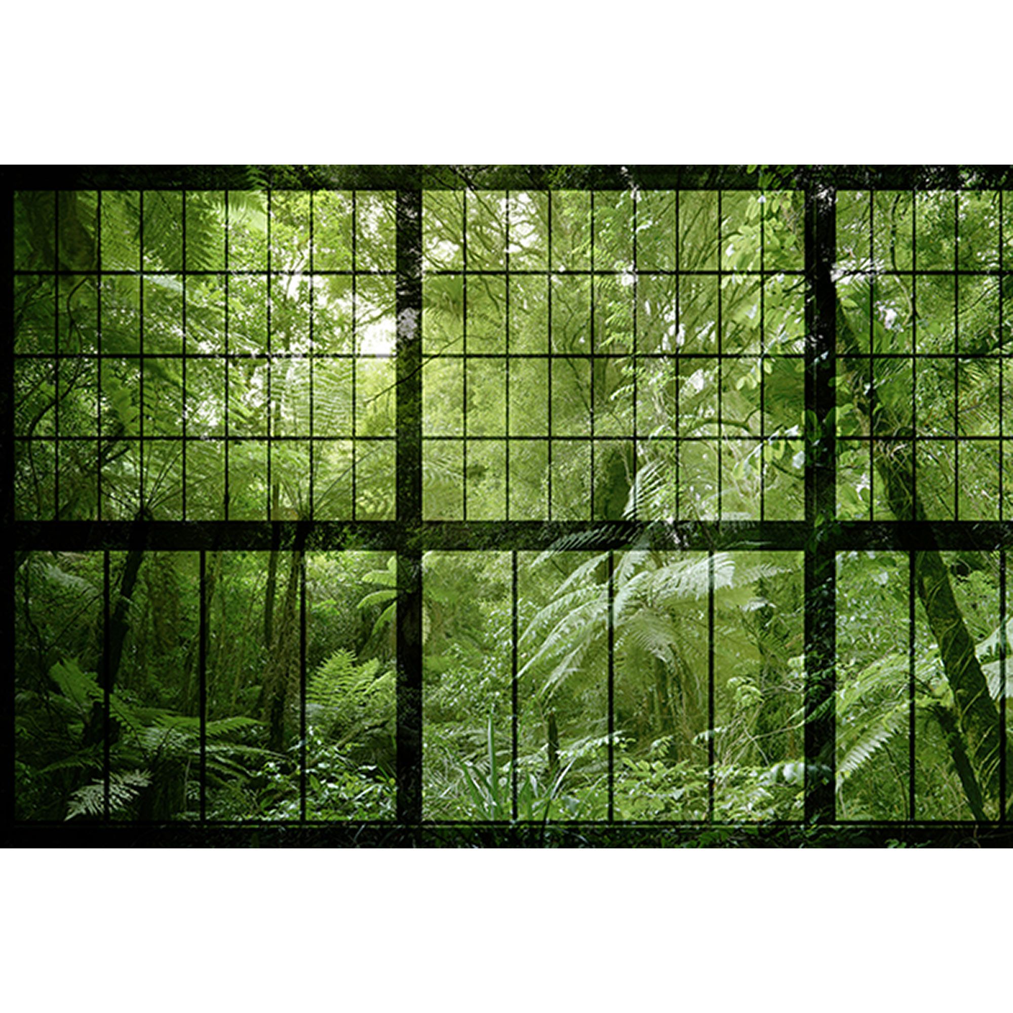 Tadessi Fototapete Fenster M1-No.60914 Digitaldruck Tapete Grün Schwarz - Dschungel