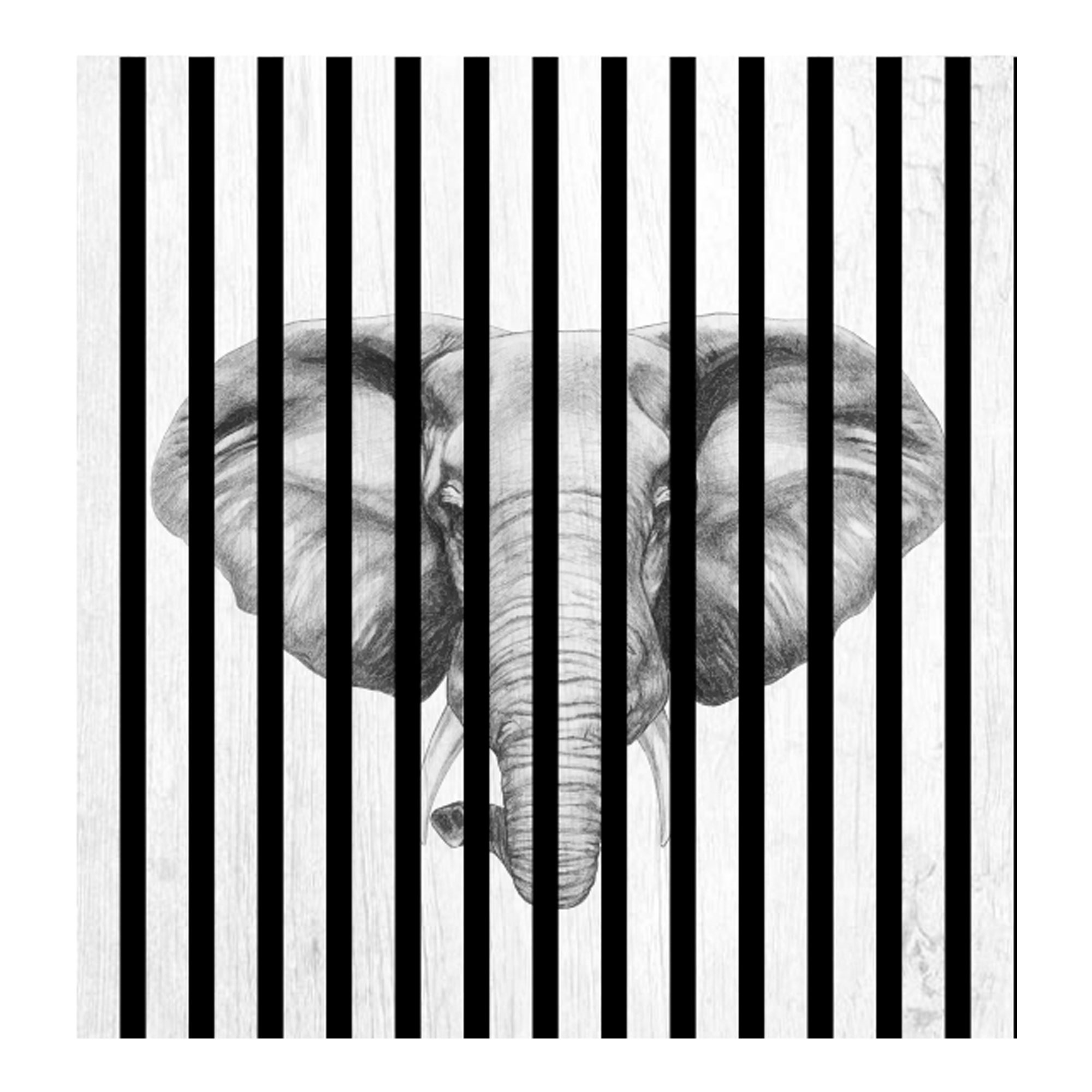 Paneles acústicos con estampado digital de elefantes, en blanco y negro, en varios tamaños.