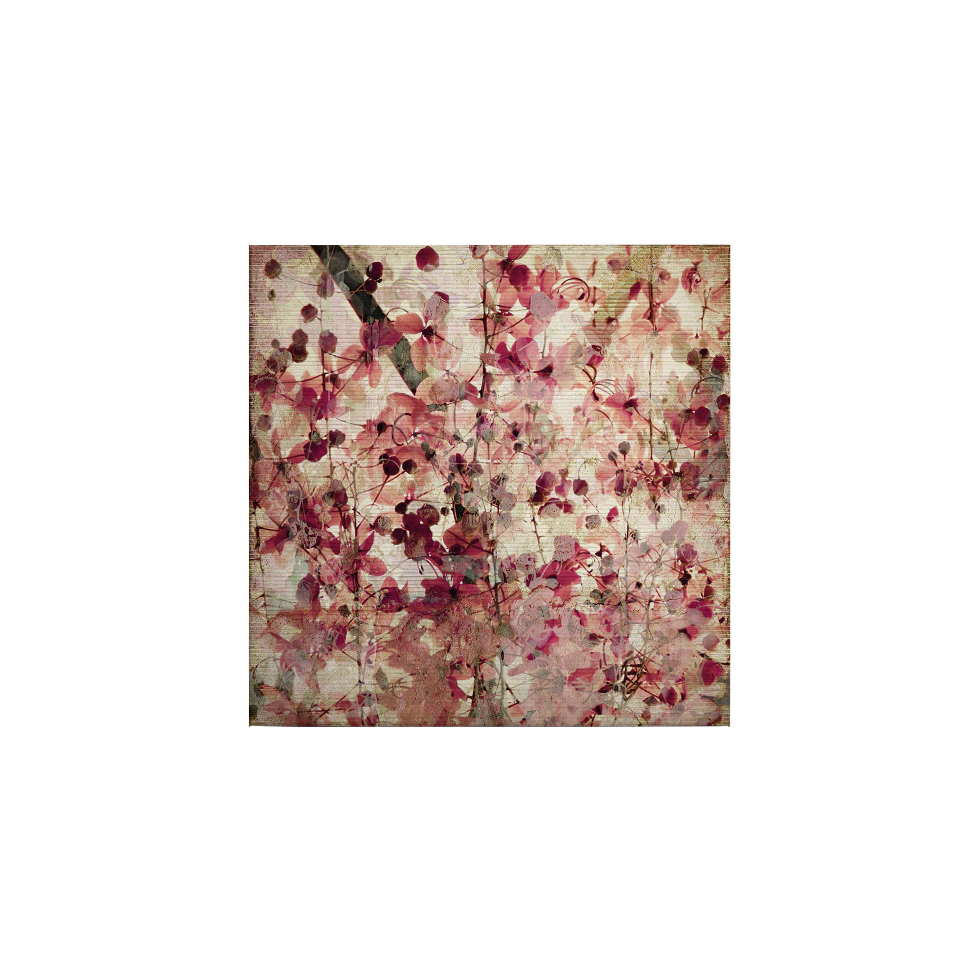 Tadessi Leinwandbild Natur Abstrakt - 50 x 50 cm - M1-No.50541 - Keilrahmen in Rosa Beige