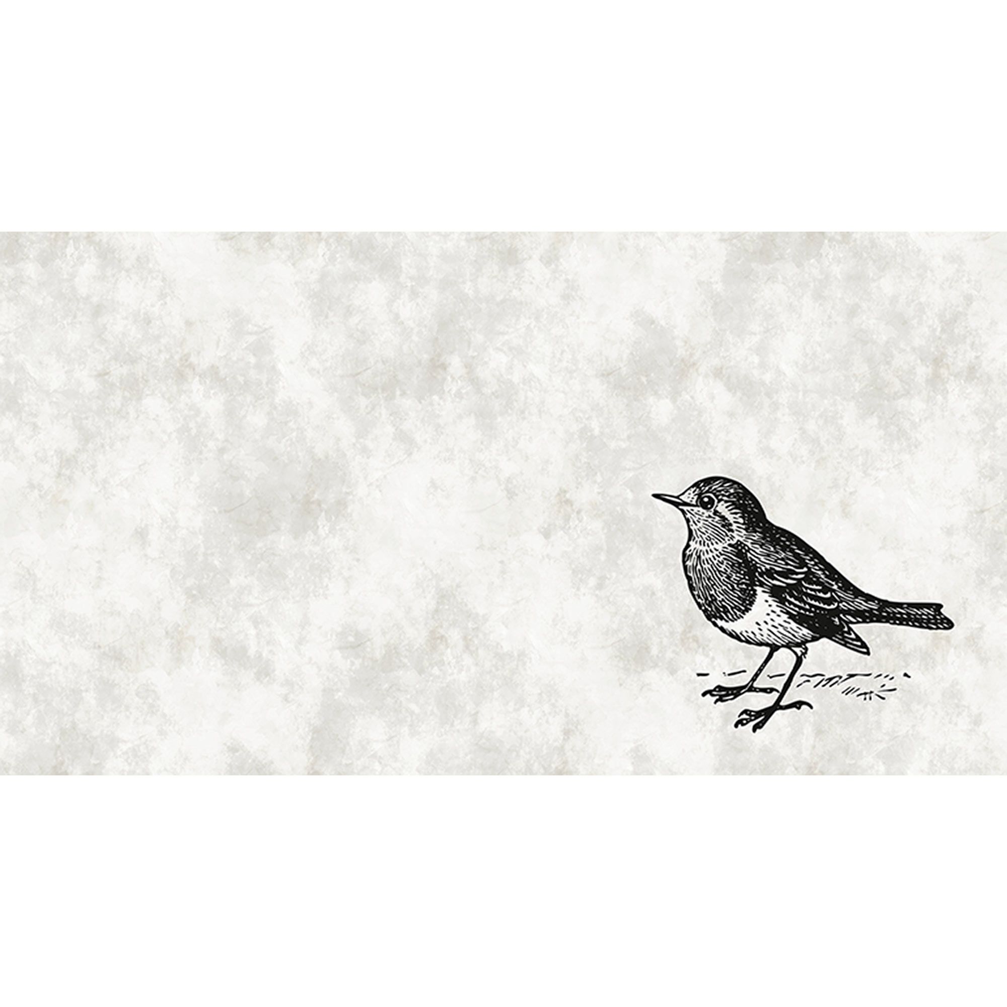 Tadessi Fototapete Vögel M1-No.60684 Digitaldruck Tapete Weiß Schwarz