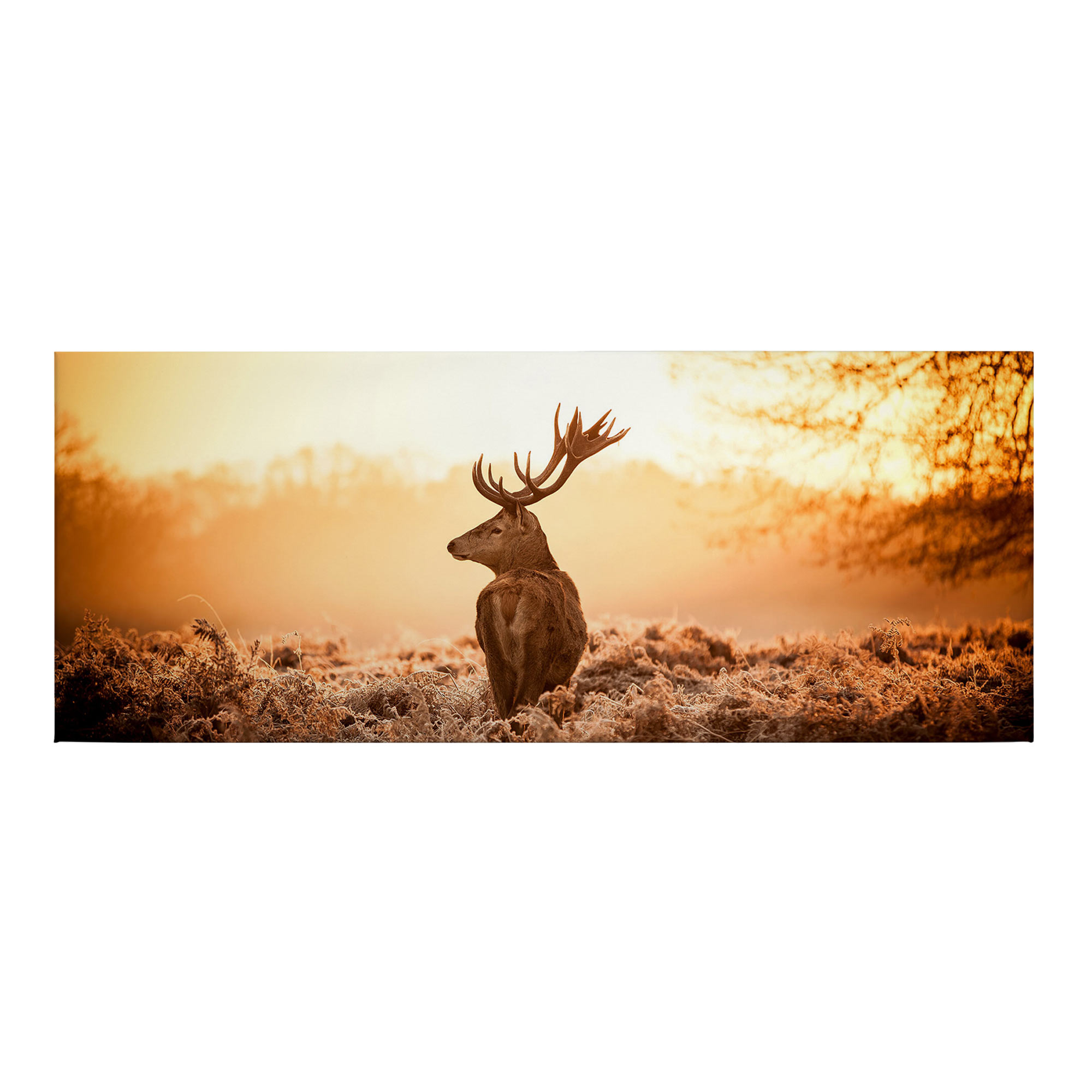 Tadessi Leinwandbild Wald und Wiese - 40 x 100 cm - M1-No.50470 - Keilrahmen in Orange Braun