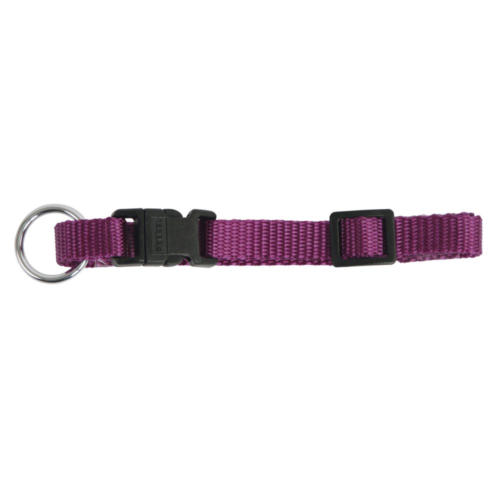 Hundehalsband | MIAMI | versch. Modelle | verstellbar