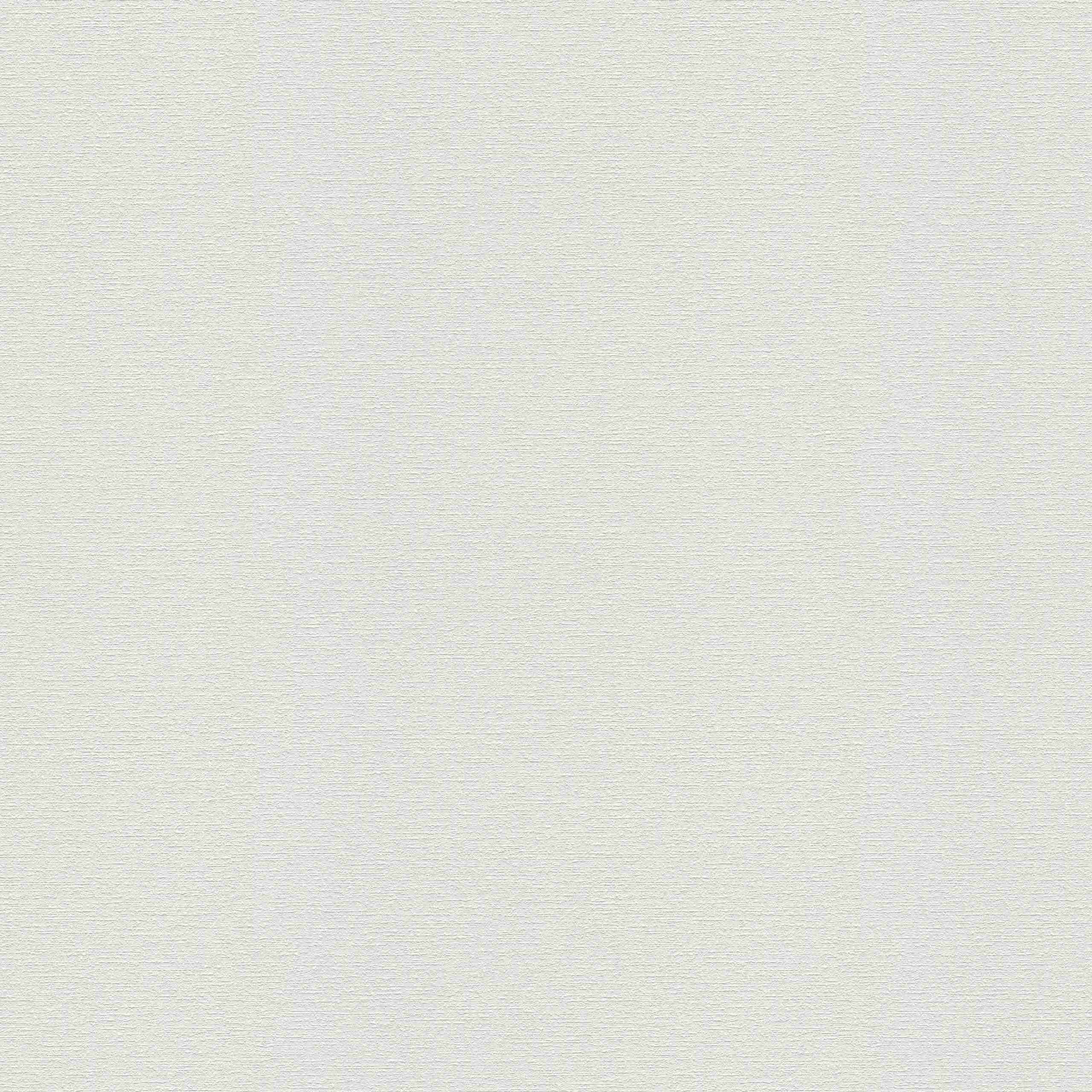 A.S. Creation | Meistervlies | 574916 | Vliestapete Überstreichbar | Putz | 1.06 x 25 m | Weiß
