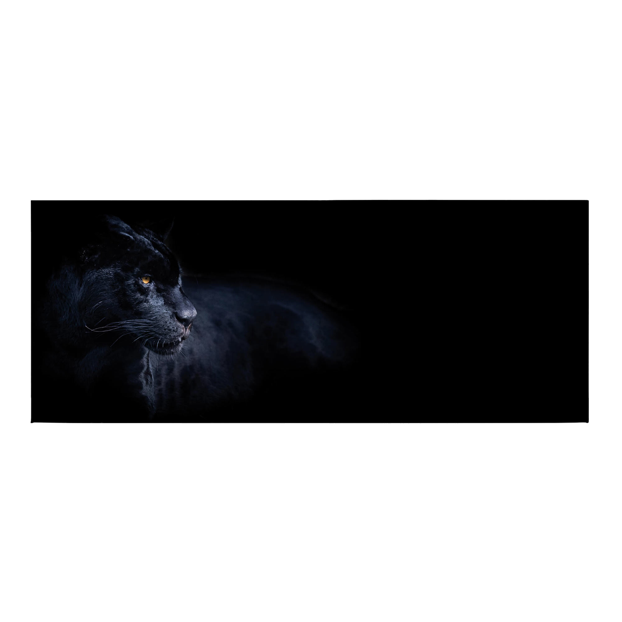 Tadessi Leinwandbild Panther - 40 x 100 cm - M1-No.50469 - Keilrahmen in Schwarz