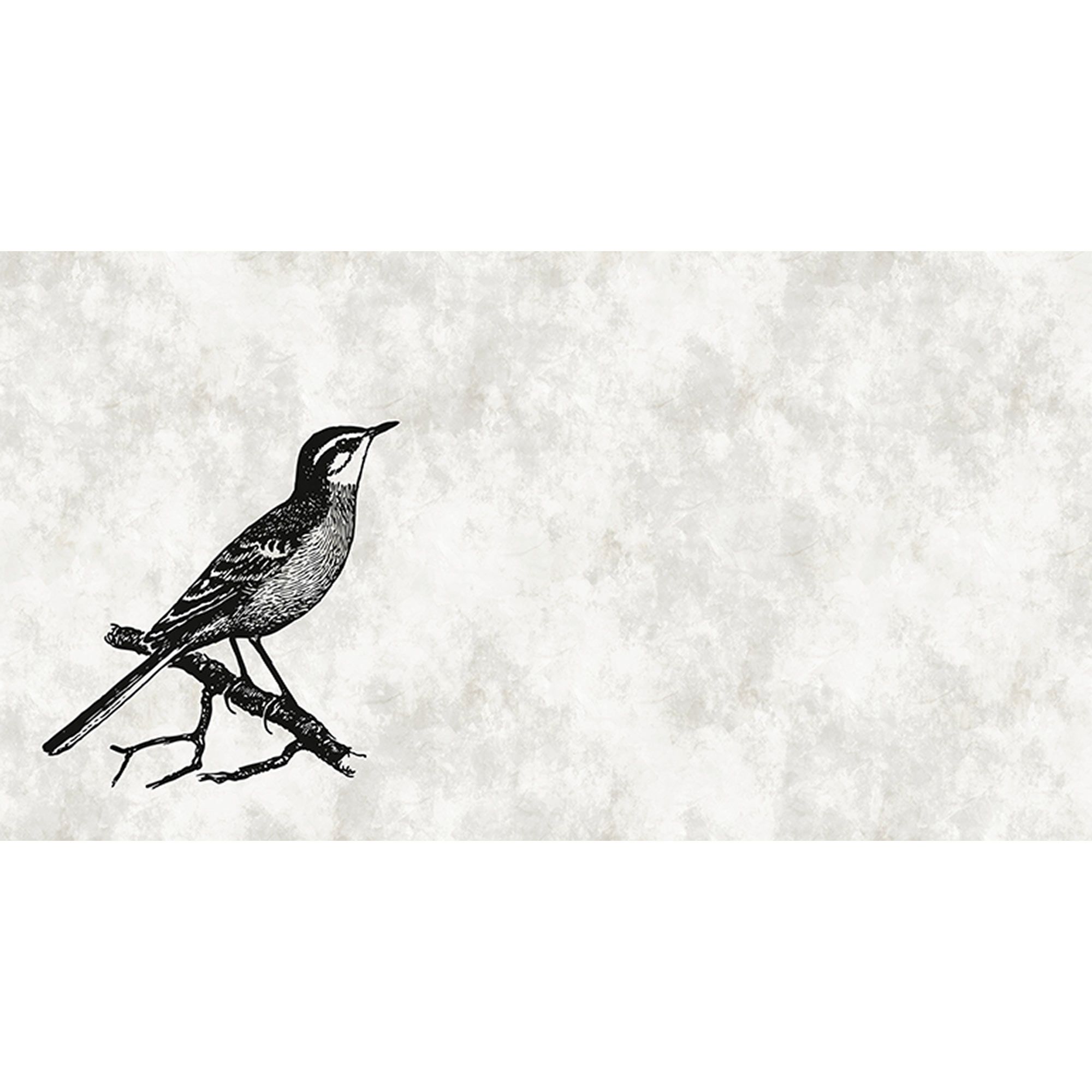 Tadessi Fototapete Vögel M1-No.60683 Digitaldruck Tapete Weiß Schwarz