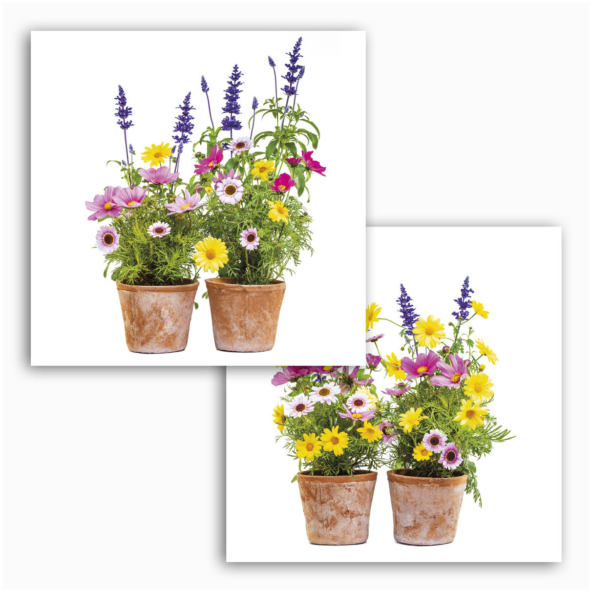 Komar Fenstersticker - Springtime - 31 x 31 cm - Fensteraufkleber - Natur