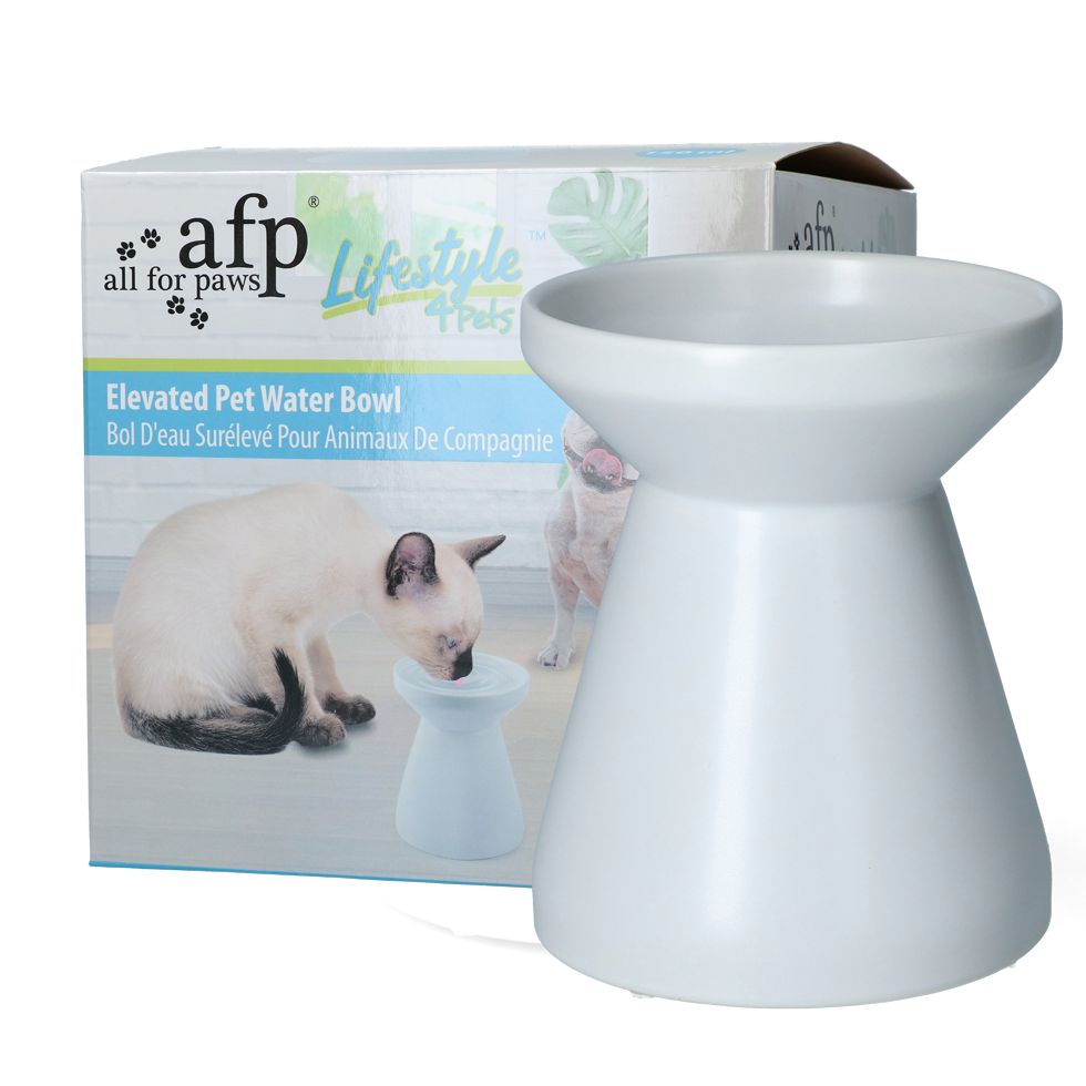 AFP | Hundenapf | Lifestyle 4 Pets - Elevated Pet Water Bowl - White | Trinknapf