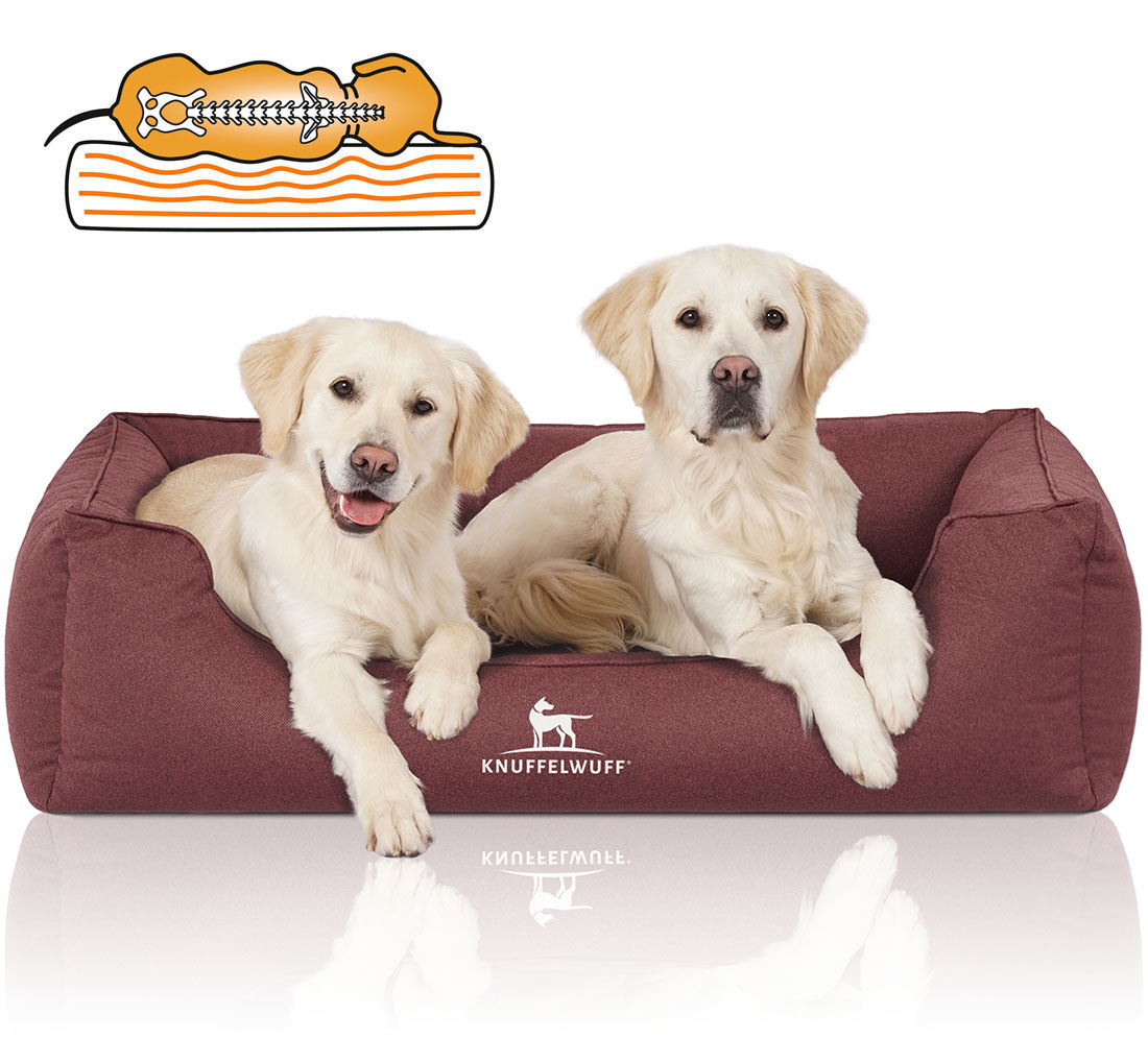 Knuffelwuff | Orthopädisches Hundebett Leon | Ergonomisch |  Hundematte | Matratze | Memory Foam