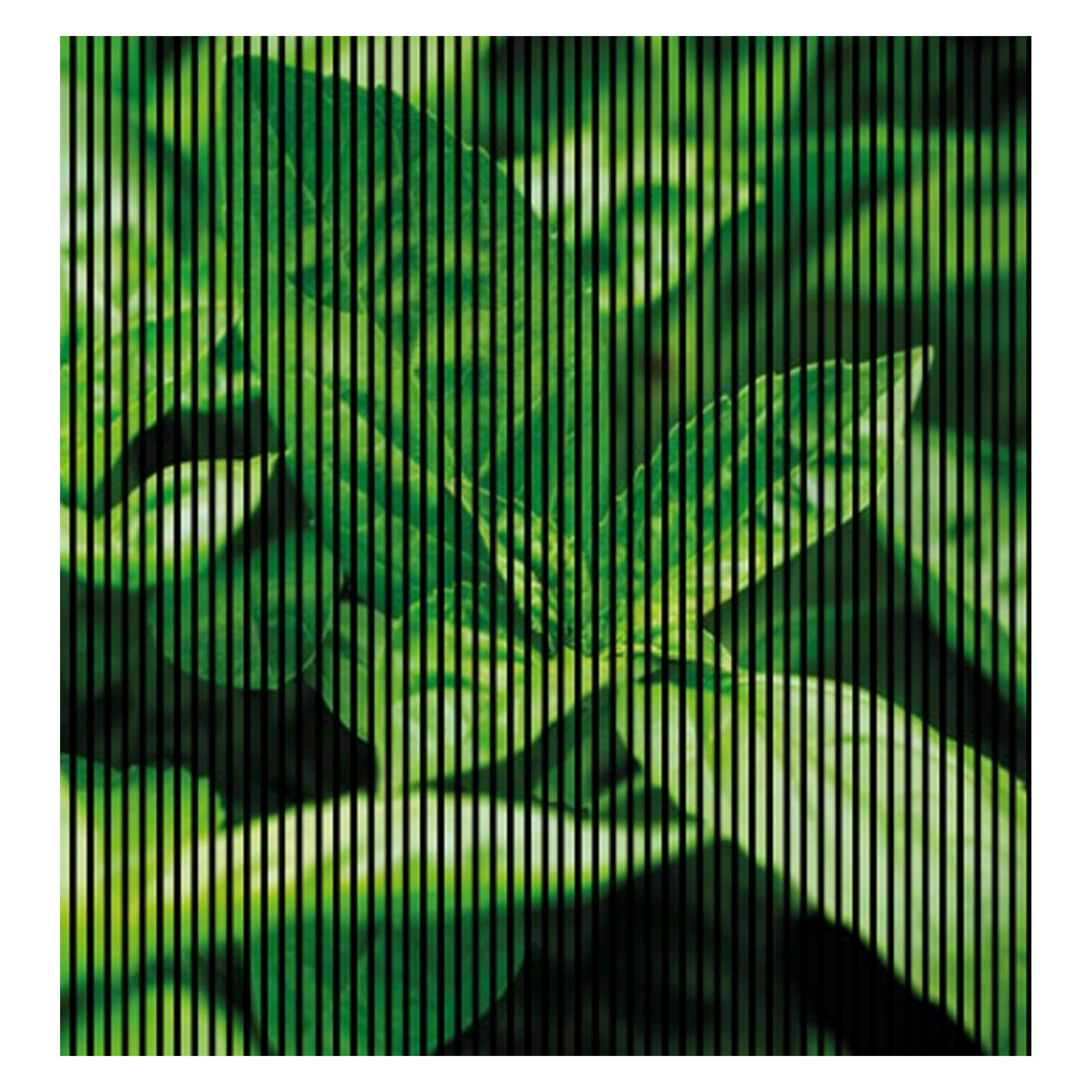 Paneles acústicos con impresión digital color albahaca, paneles murales verdes y negros, en varios tamaños.