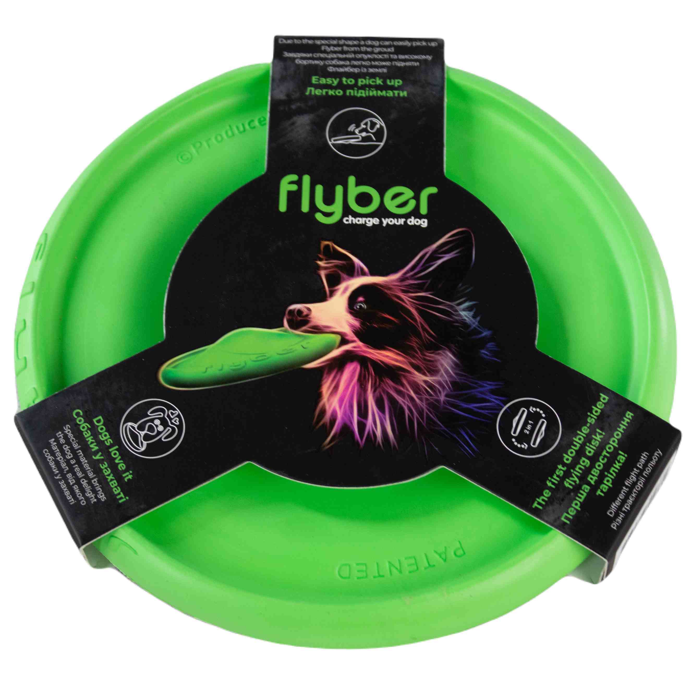 FLYBER | Hundespielzeug | Frisbee | doppelseitig verwendbar | Grün | 22 cm