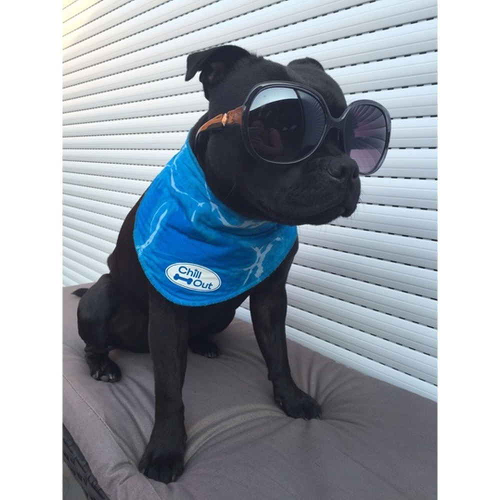 Hunde Halsband | Chill Out-Bandana|  XL | Maße:53 bis 620 cm