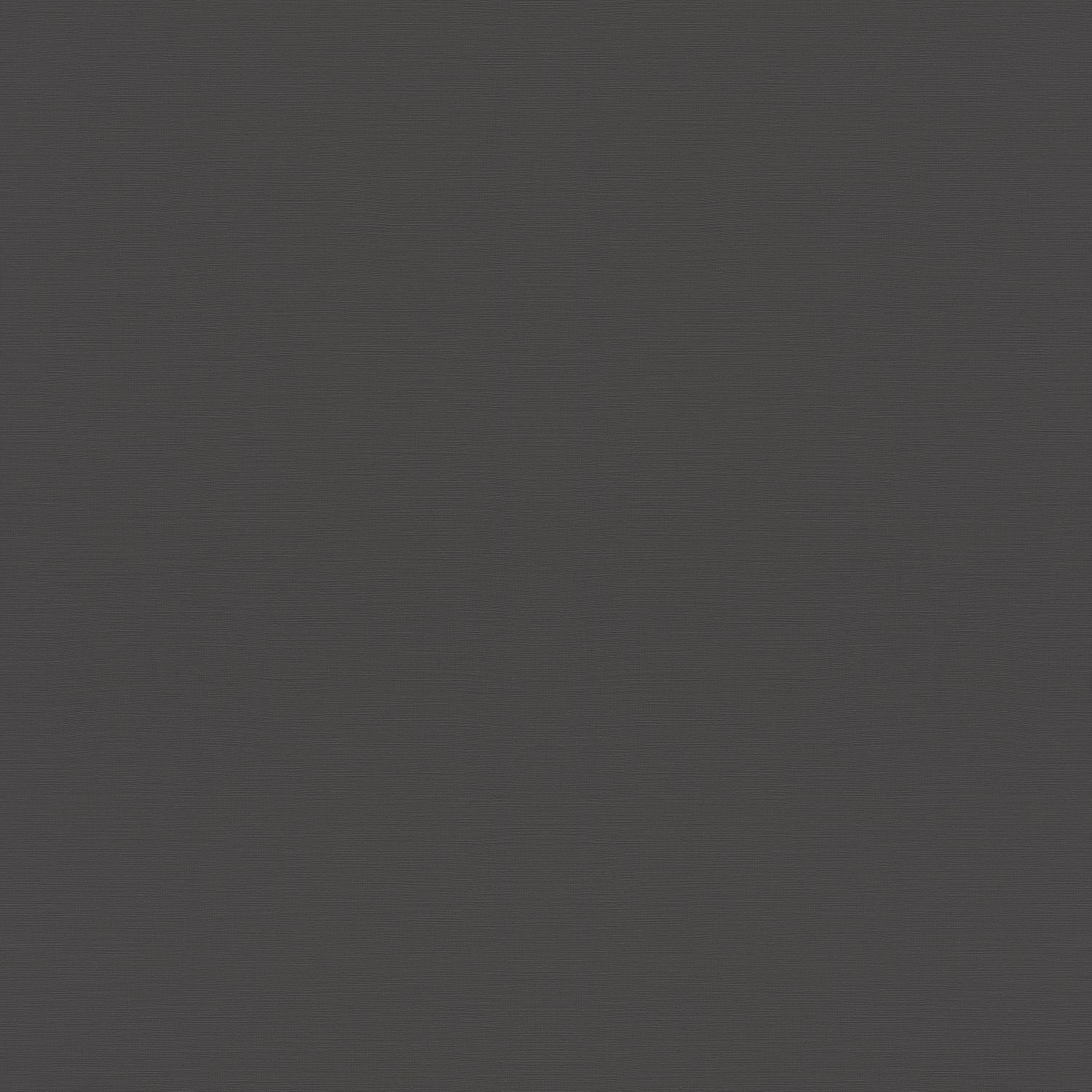 Rasch Rhapsody 688023 Papel pintado no tejido Liso 0,53 x 10,05 m Negro