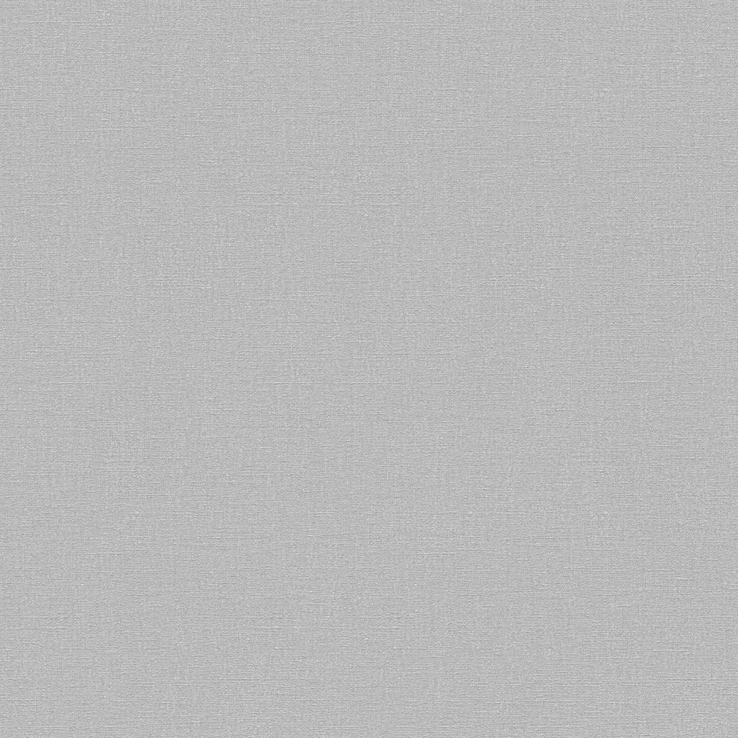 A.S. Creation | Desert Lodge | 324745 | Vliestapete | Einfarbig | Uni | 0.53 x 10.05 m | Grau