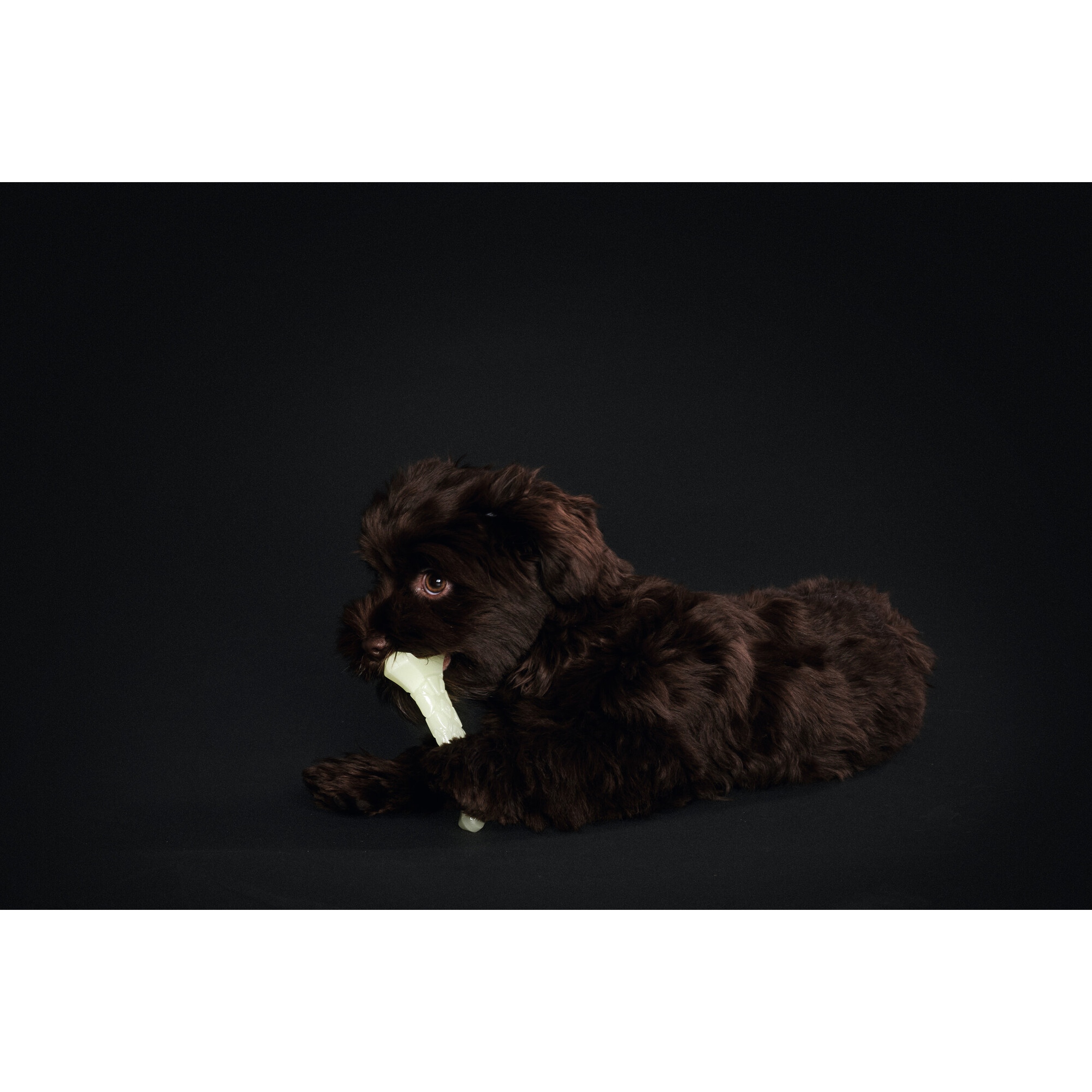 Hunter | Kisa | Hundespielzeug | TPR | Weiß | Spaß | Langlebig | Robust