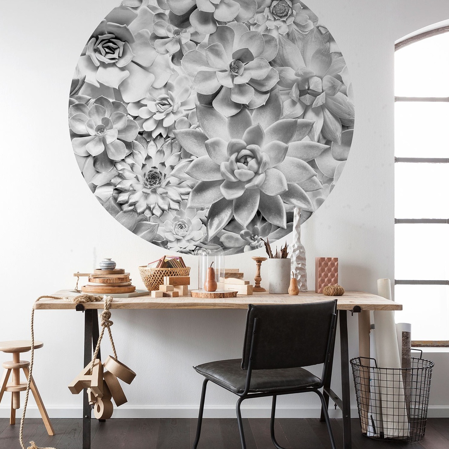 Komar Fototapete Disney Dot Echeveria 125 x 125 cm Vlies Selbstklebend Sukulenten Wunder der Natur
