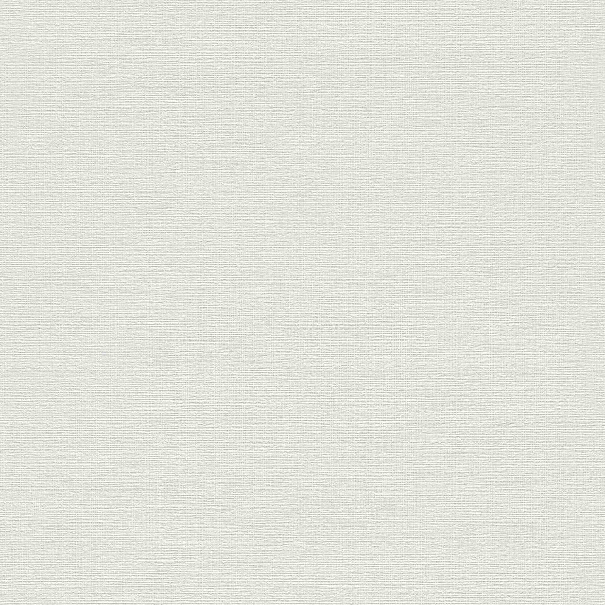Rasch Unsere Besten 2022 | 732351 | papier peint intissé uni | 0.53 m x 10.05 m | gris