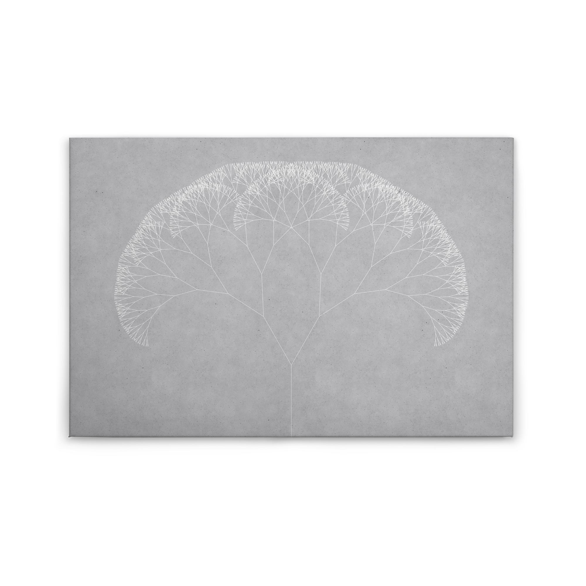 Tadessi Leinwandbild Natur - 60 x 90 cm - M1-No.50154 - Keilrahmen in Grau Weiß