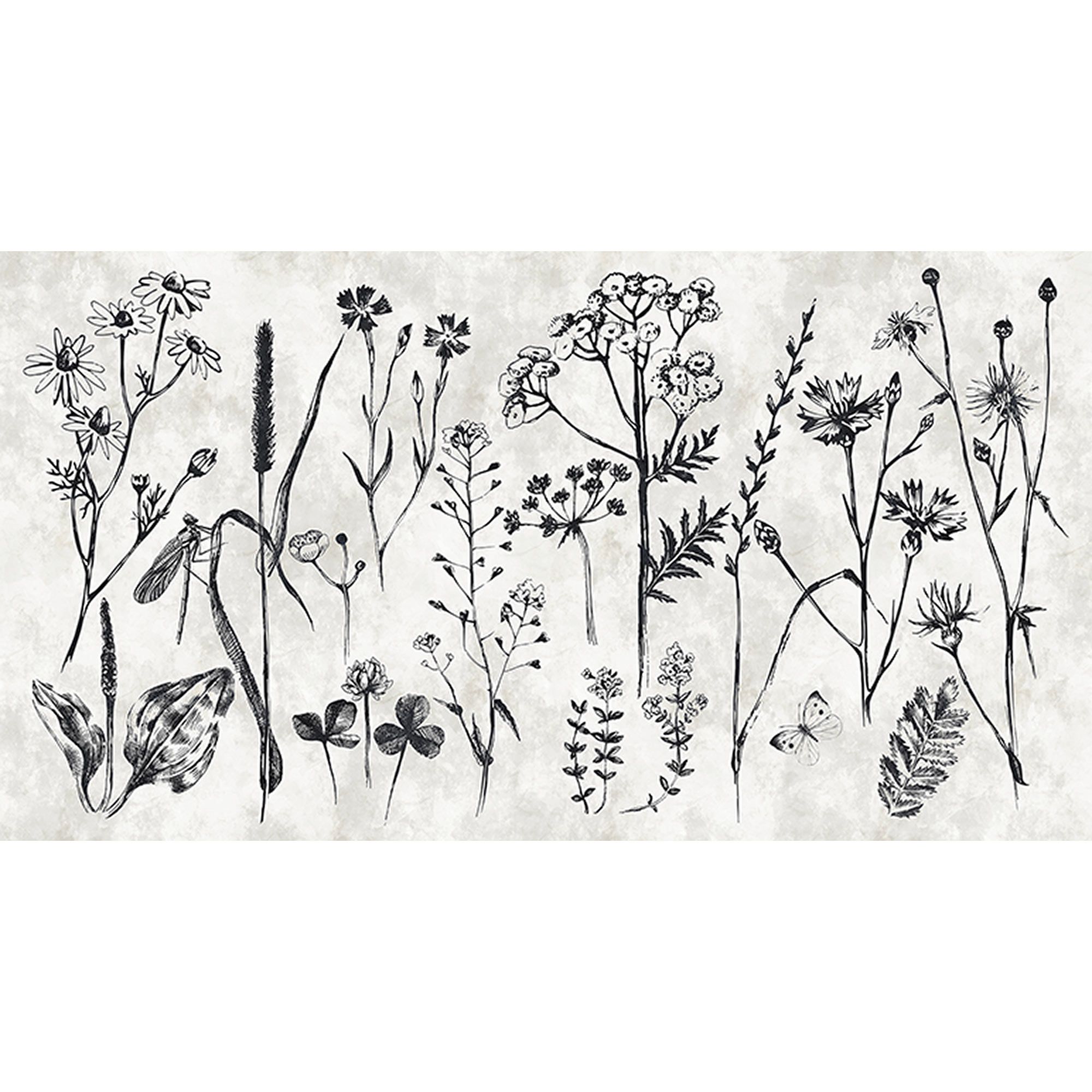 Tadessi Fototapete Blumen M1-No.60680 Digitaldruck Tapete Weiß Schwarz