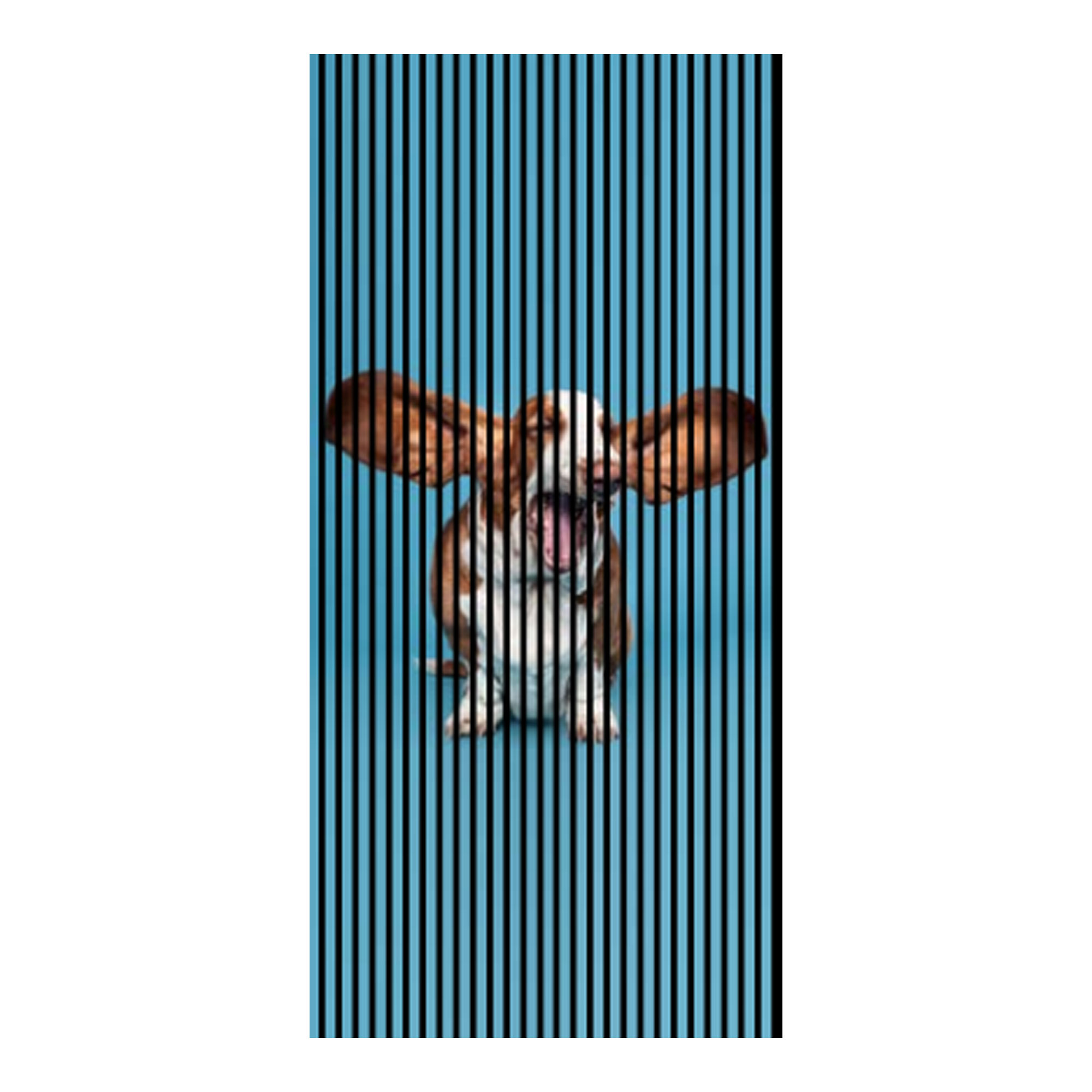 Paneles acústicos con impresión digital de un perro, en azul y marrón, disponibles en varios tamaños.