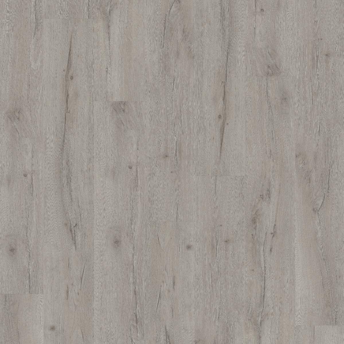 Suelo vinílico DESIGN 555 Dryback 1219 x 184 x 2,5 mm Vinilo adhesivo imitación madera roble gris NKL42