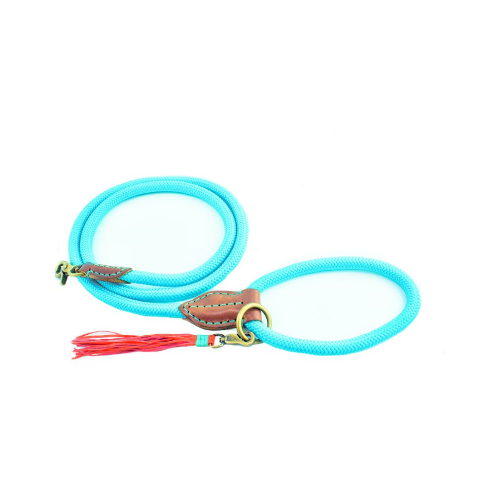 Hundeleine | Turquoise Leash | versch. Größen