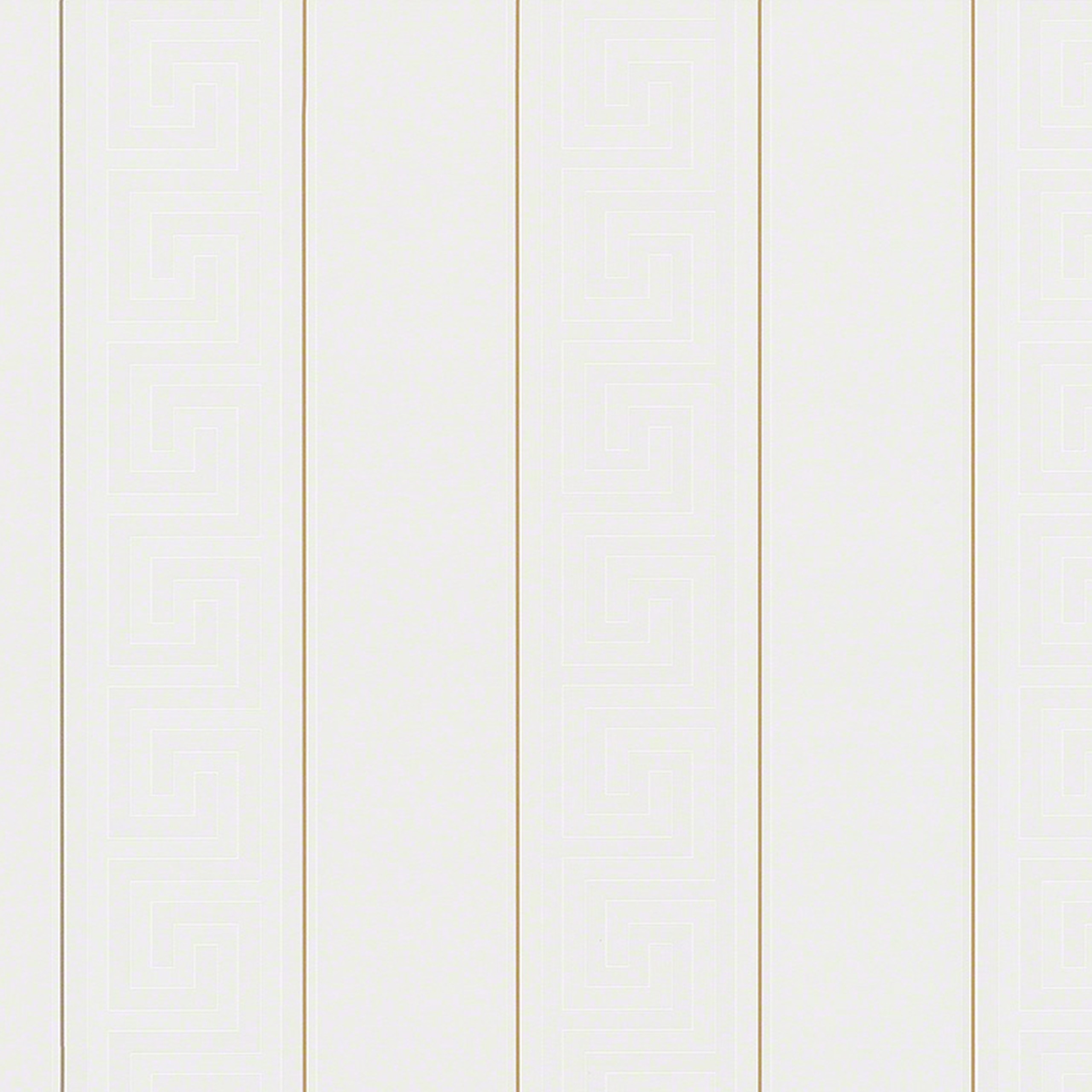 A.S. Creation | Versace | 935241 | Vliestapete | Muster & Motive | 0.7 x 10.05 m | Silber