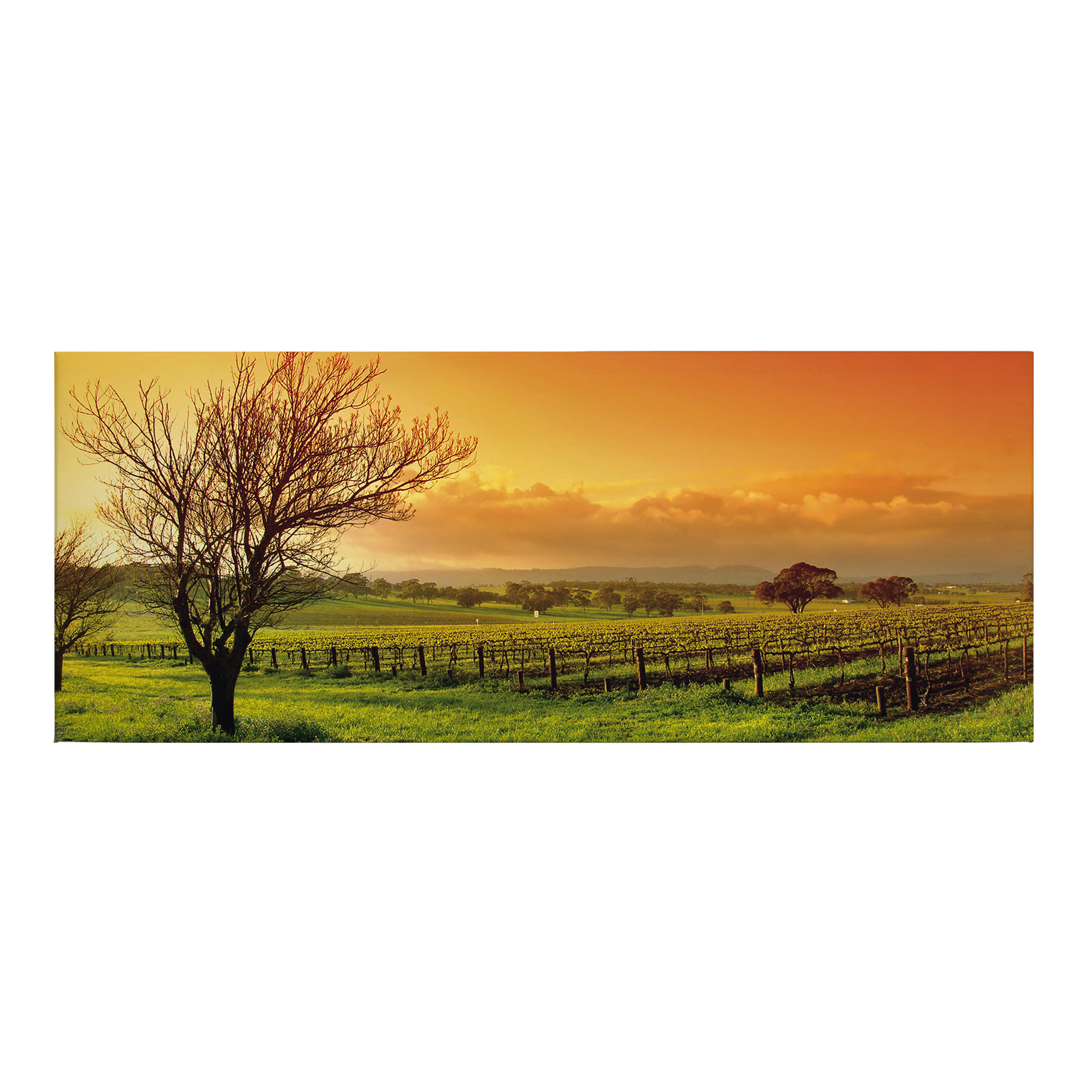 Tadessi Leinwandbild Wiesen und Wälder - 40 x 100 cm - M1-No.50447 - Keilrahmen in Grün Braun