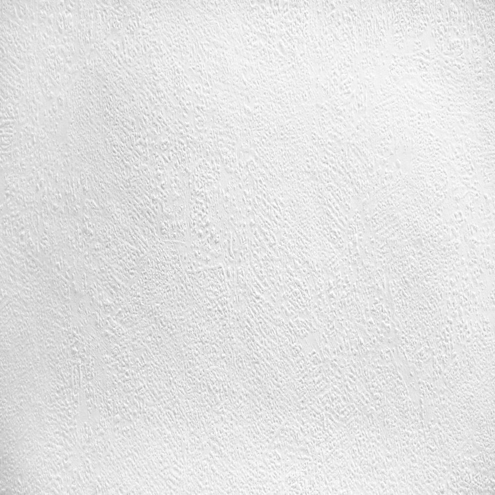 A.S. Creation Meistervlies | 316011 | papier peint intissé enduit | 0.53 m x 10.05 m | blanc